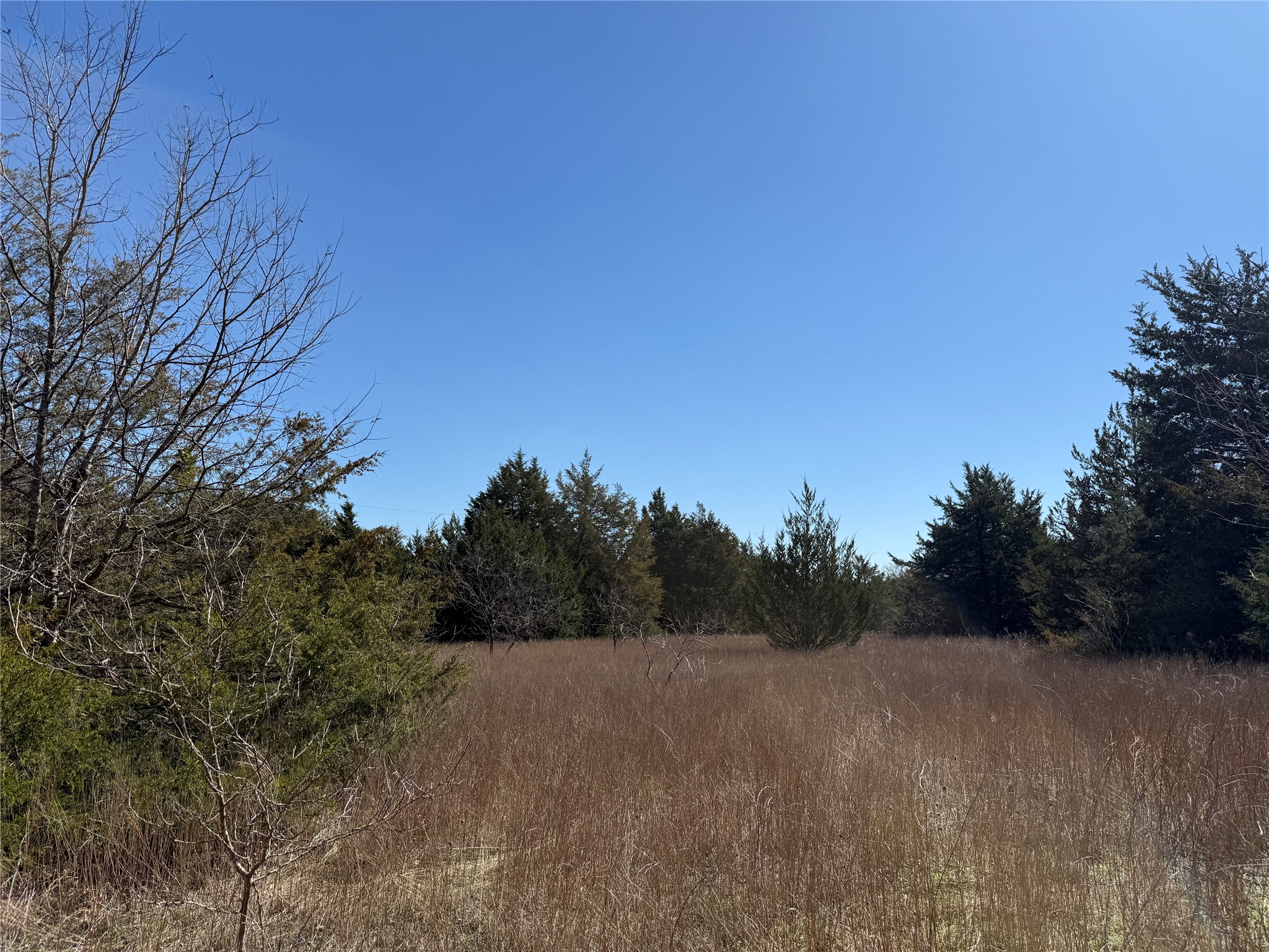 Lots 162a, 162b, 163a SW Cr 4011 Dawson TX 76639