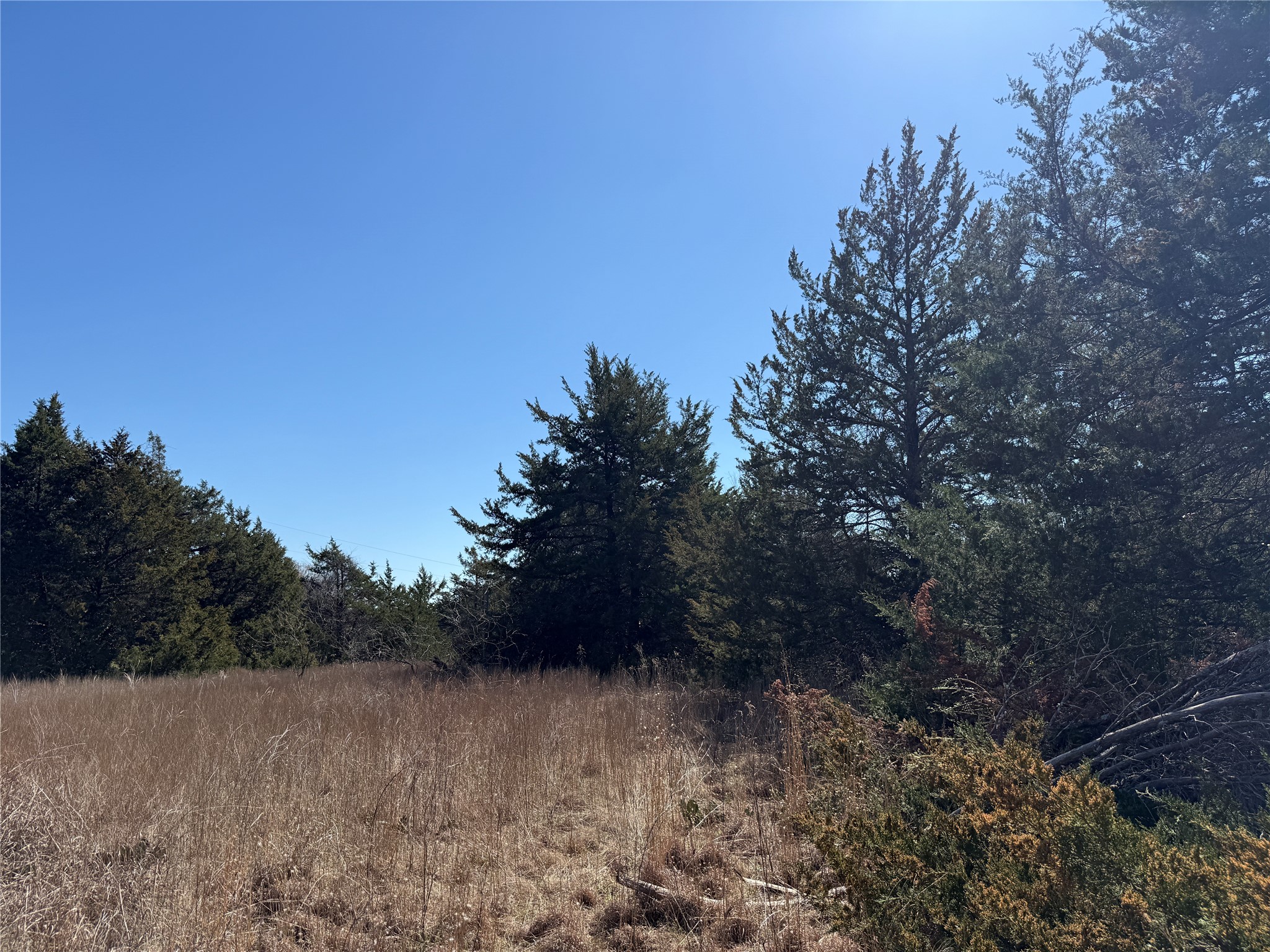 Lots 162a, 162b, 163a SW Cr 4011 Dawson TX 76639