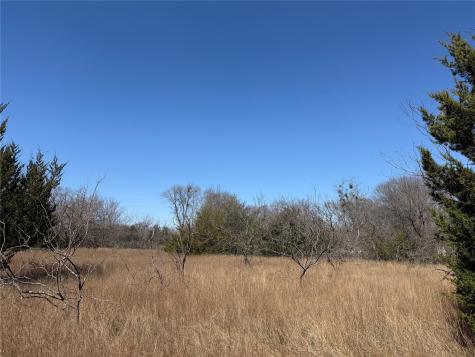 Lots 162a, 162b, 163a SW Cr 4011 Dawson TX 76639