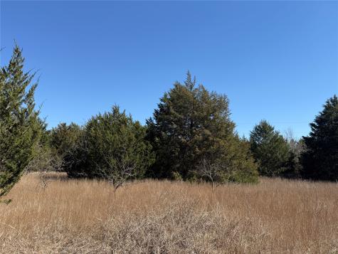 Lots 162a, 162b, 163a SW Cr 4011 Dawson TX 76639