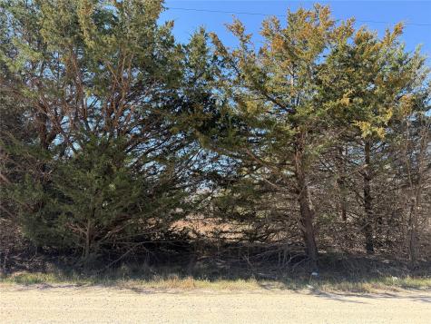 Lots 162a, 162b, 163a SW Cr 4011 Dawson TX 76639