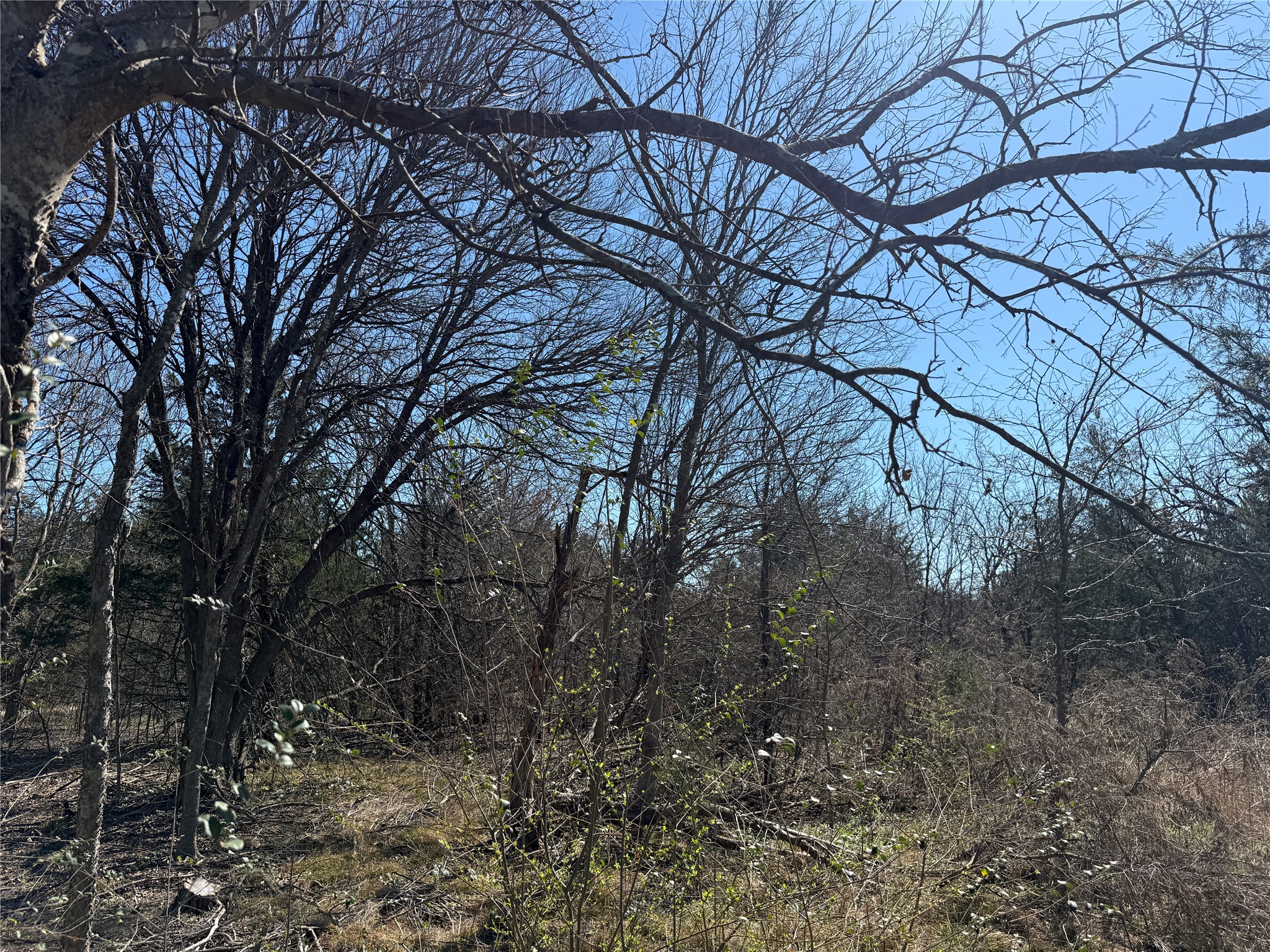 Lots 162a, 162b, 163a SW Cr 4011 Dawson TX 76639