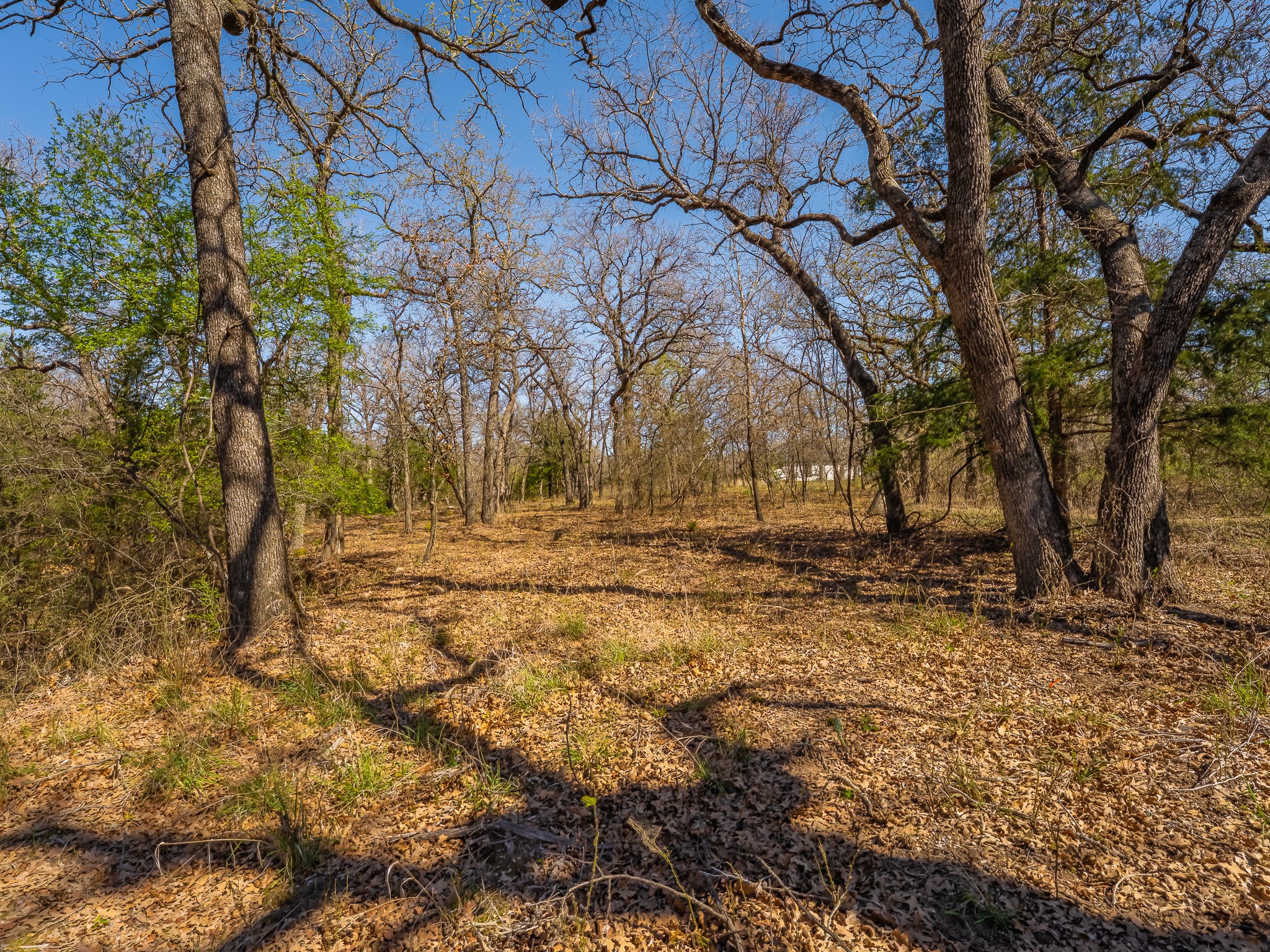500 Private Road 3204 Bridgeport TX 76426