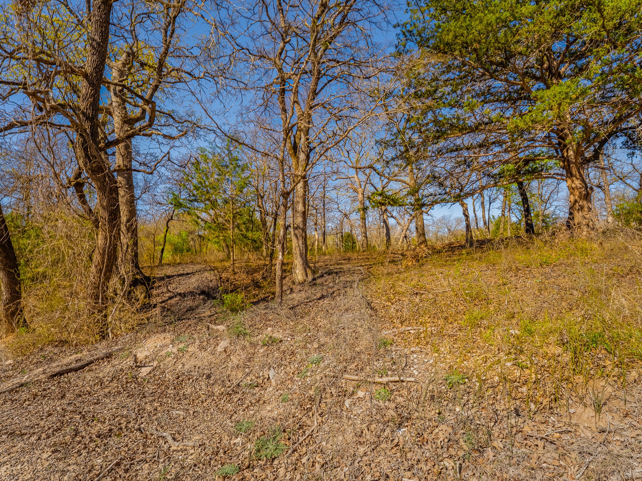 500 Private Road 3204 Bridgeport TX 76426