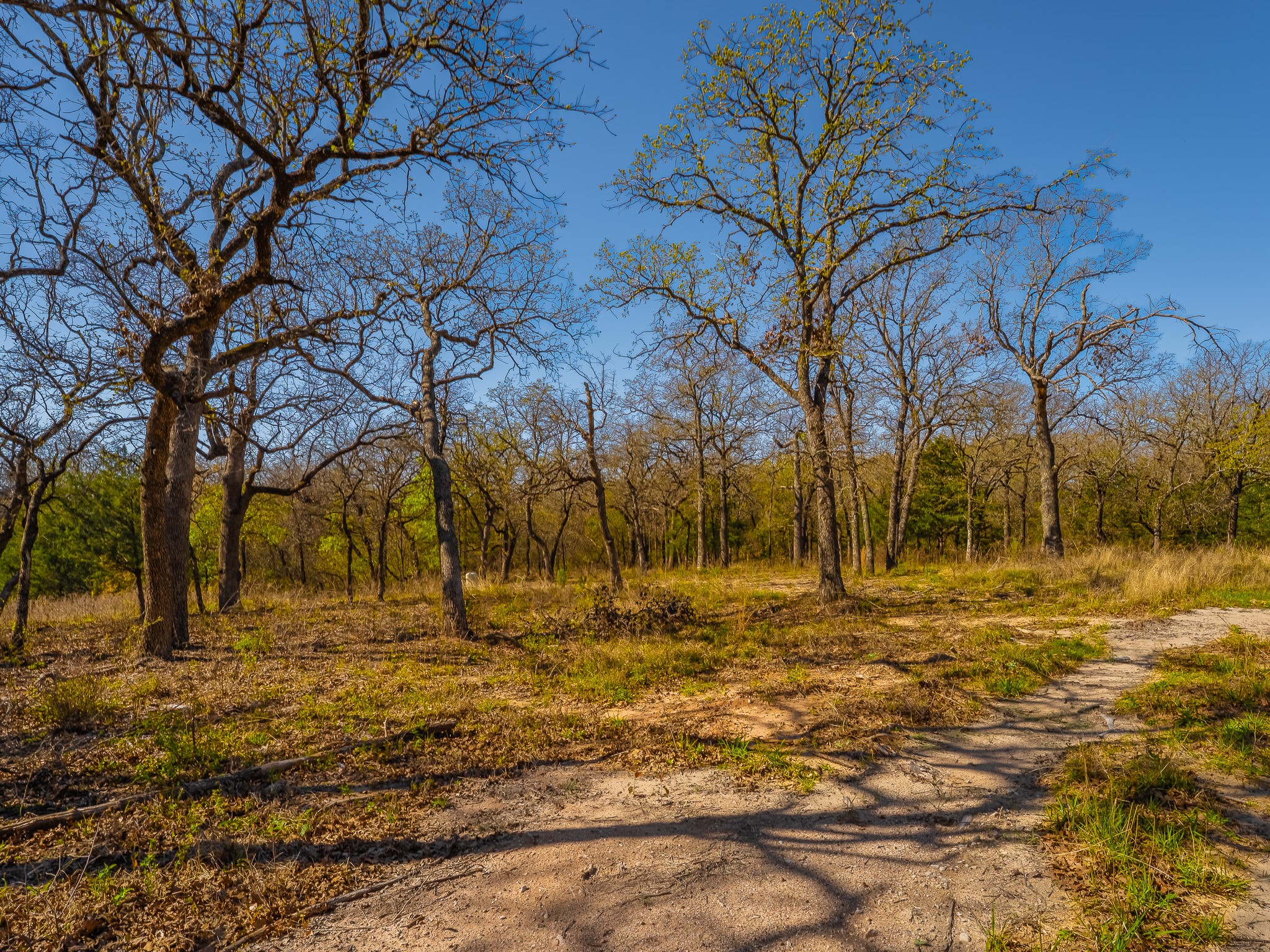 500 Private Road 3204 Bridgeport TX 76426