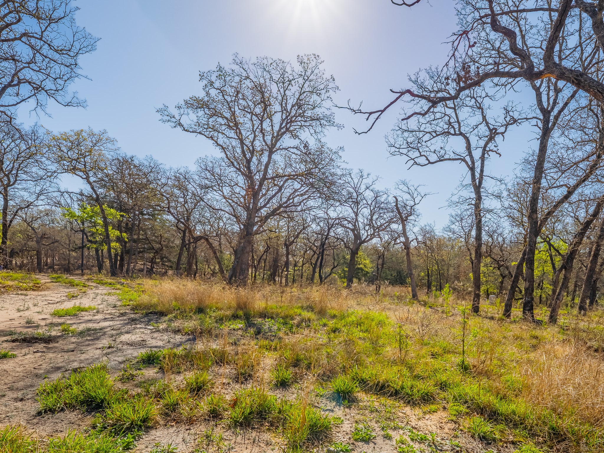 500 Private Road 3204 Bridgeport TX 76426
