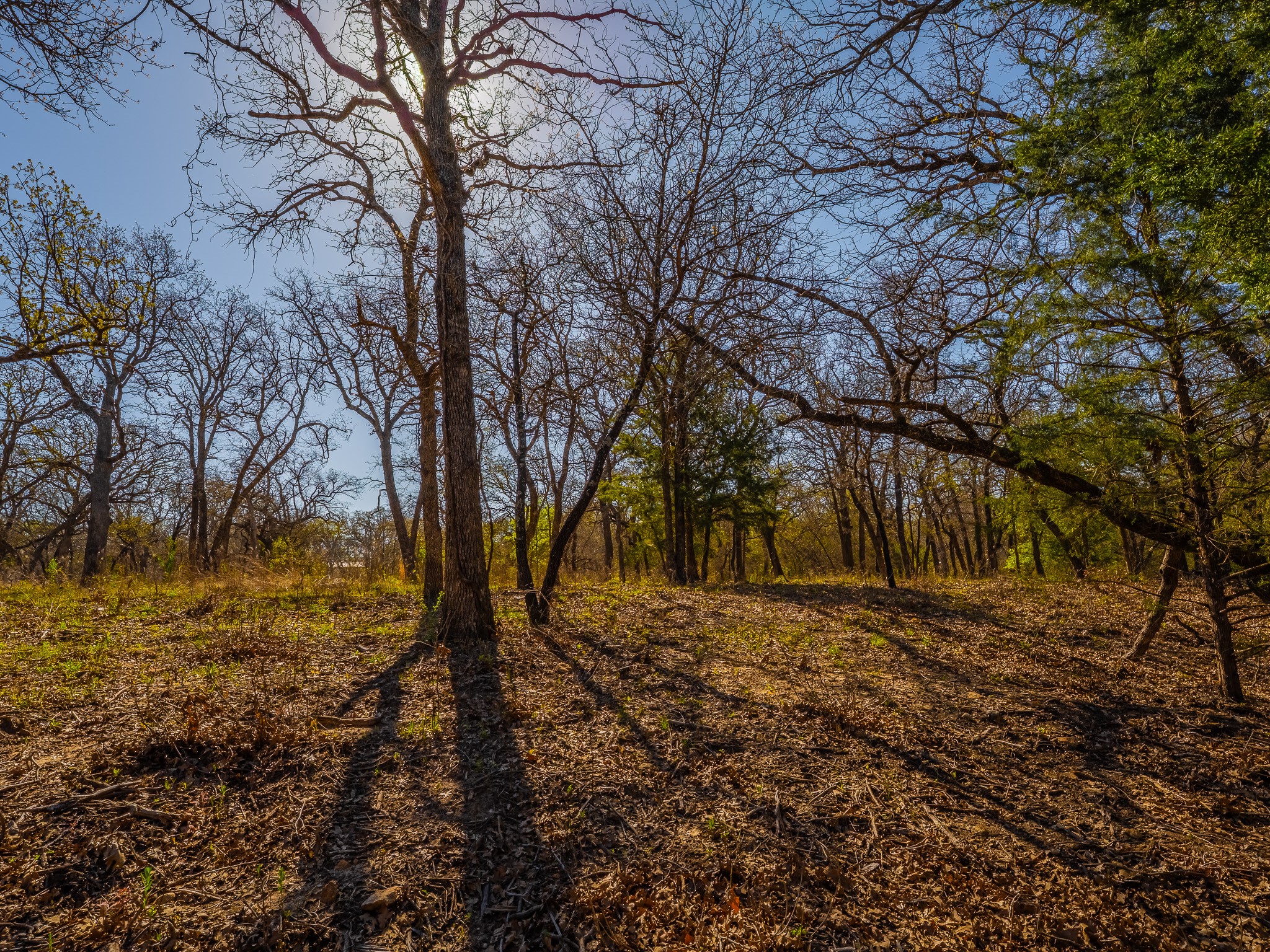 500 Private Road 3204 Bridgeport TX 76426
