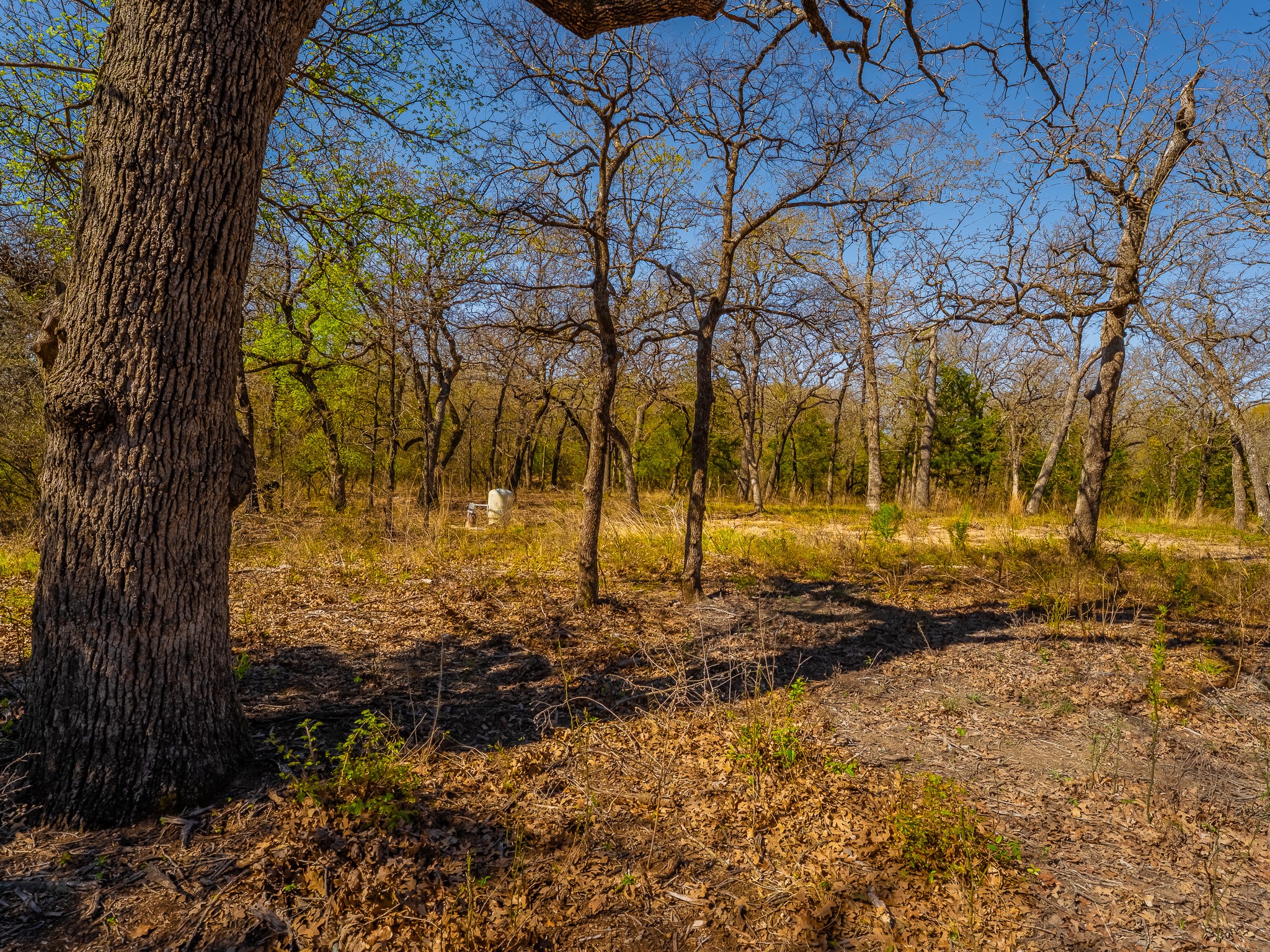 500 Private Road 3204 Bridgeport TX 76426