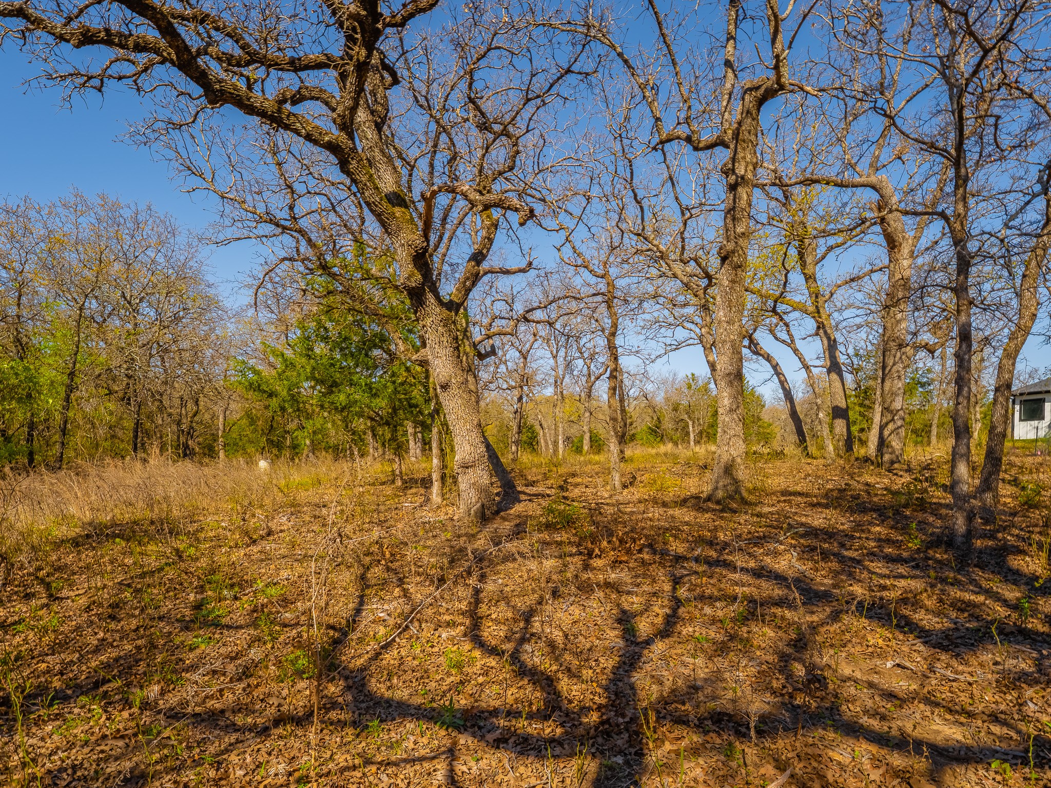 500 Private Road 3204 Bridgeport TX 76426