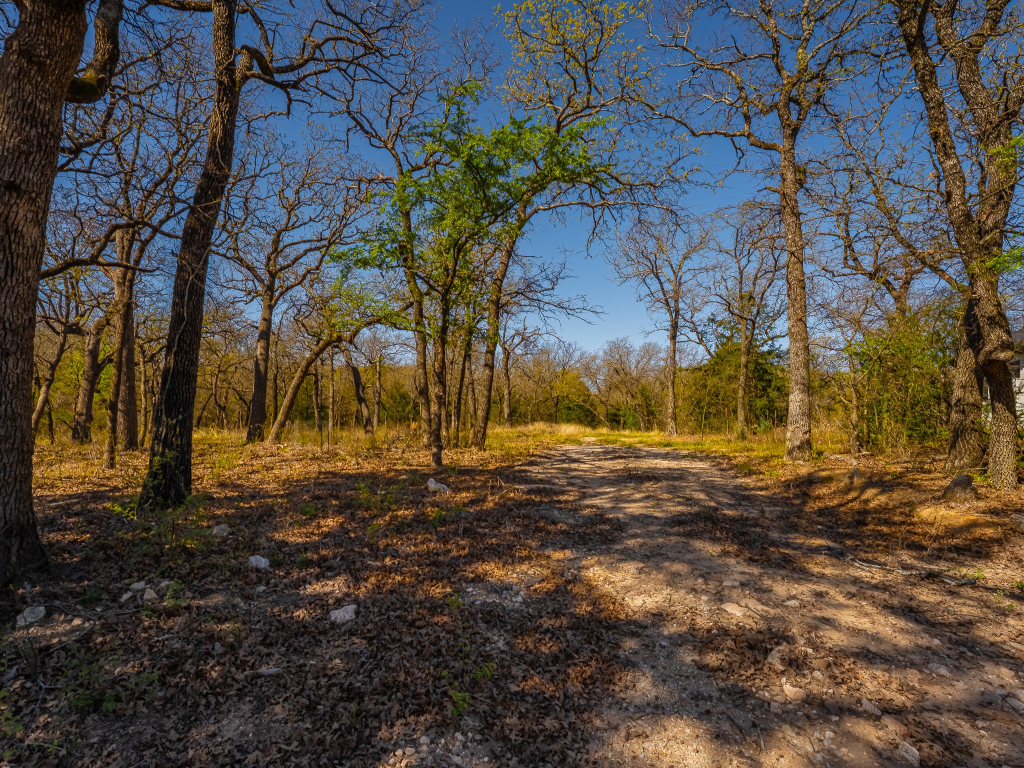 500 Private Road 3204 Bridgeport TX 76426