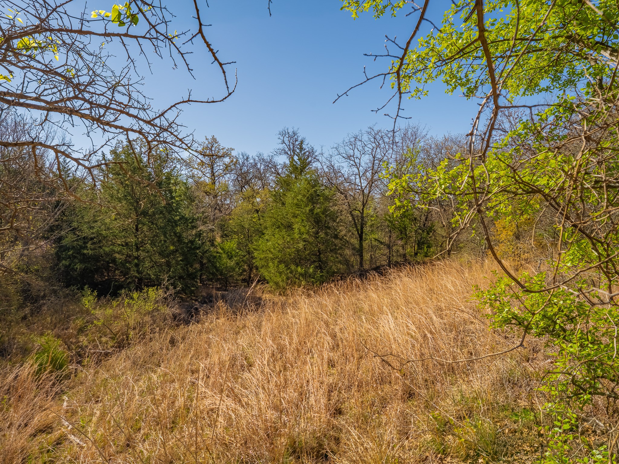 500 Private Road 3204 Bridgeport TX 76426