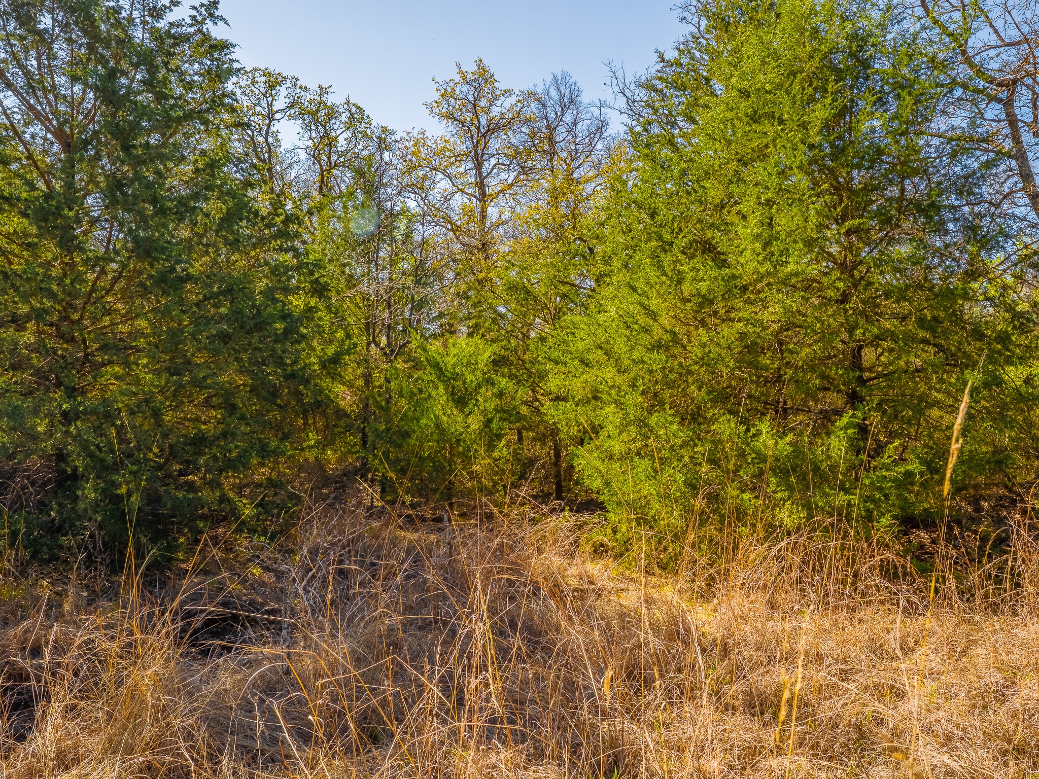 500 Private Road 3204 Bridgeport TX 76426