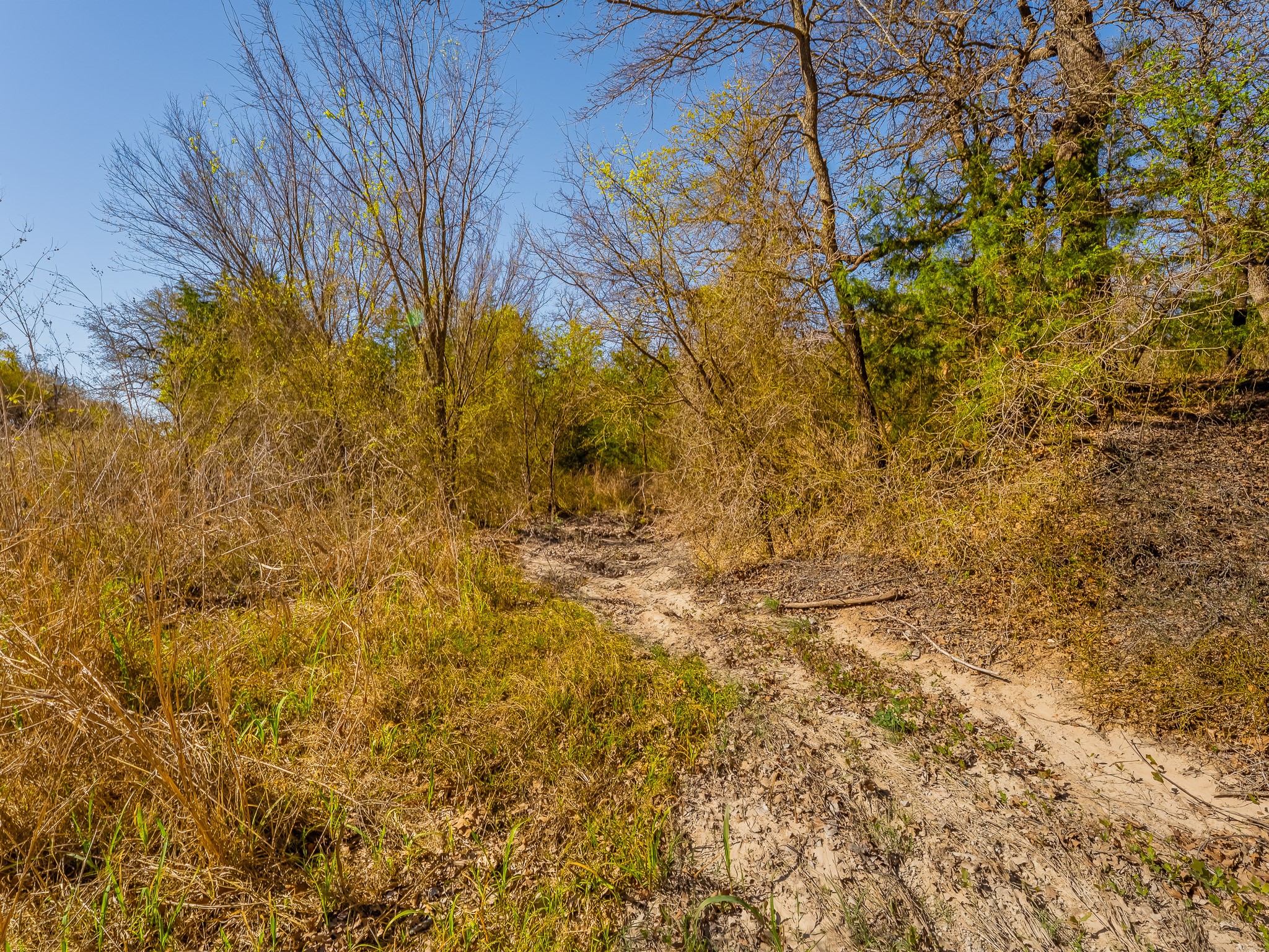500 Private Road 3204 Bridgeport TX 76426