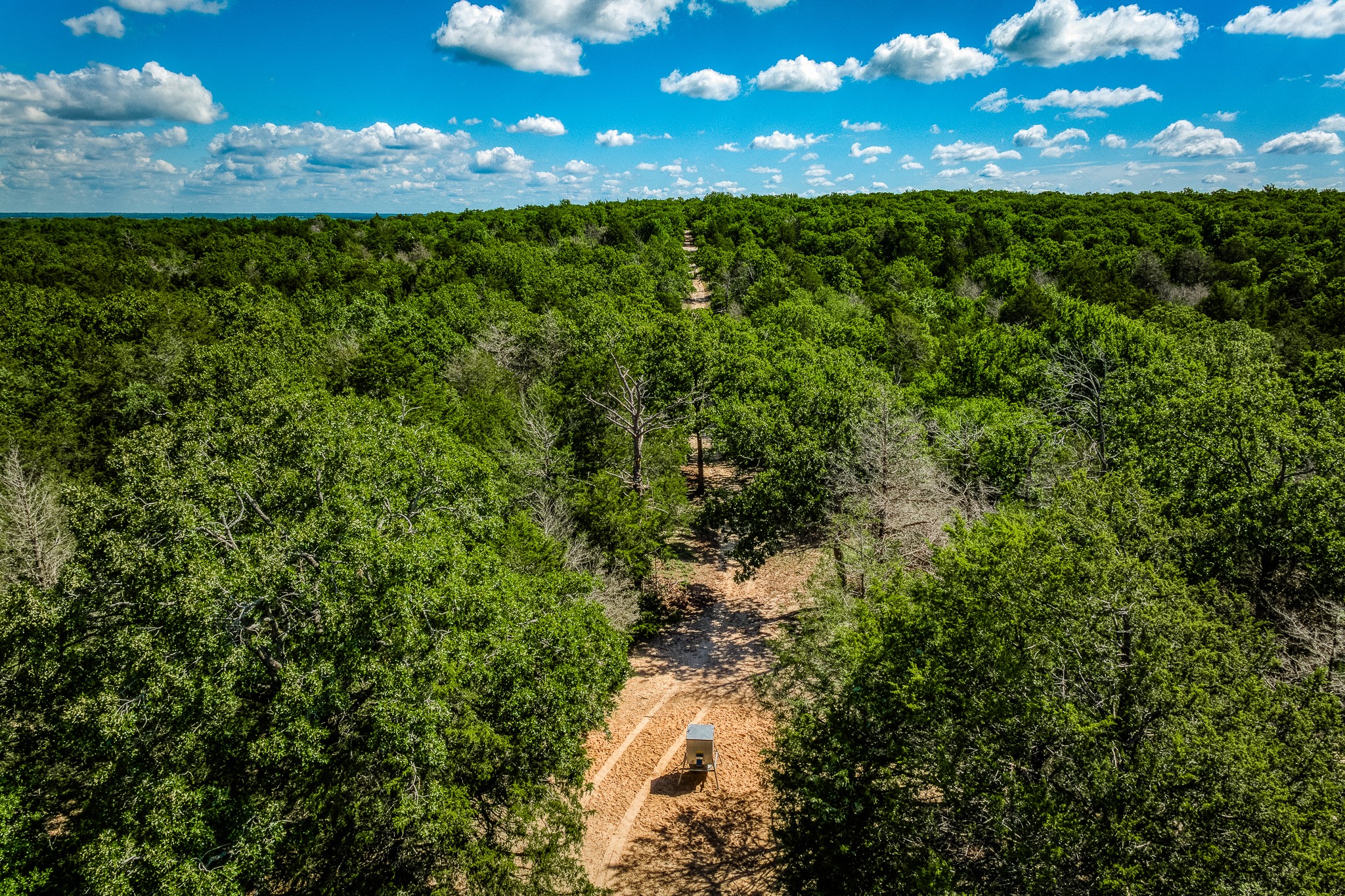511 (+/-169ac) Lcr 793 Groesbeck TX 76642