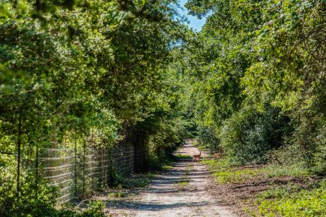 511 (+/-169ac) Lcr 793 Groesbeck TX 76642