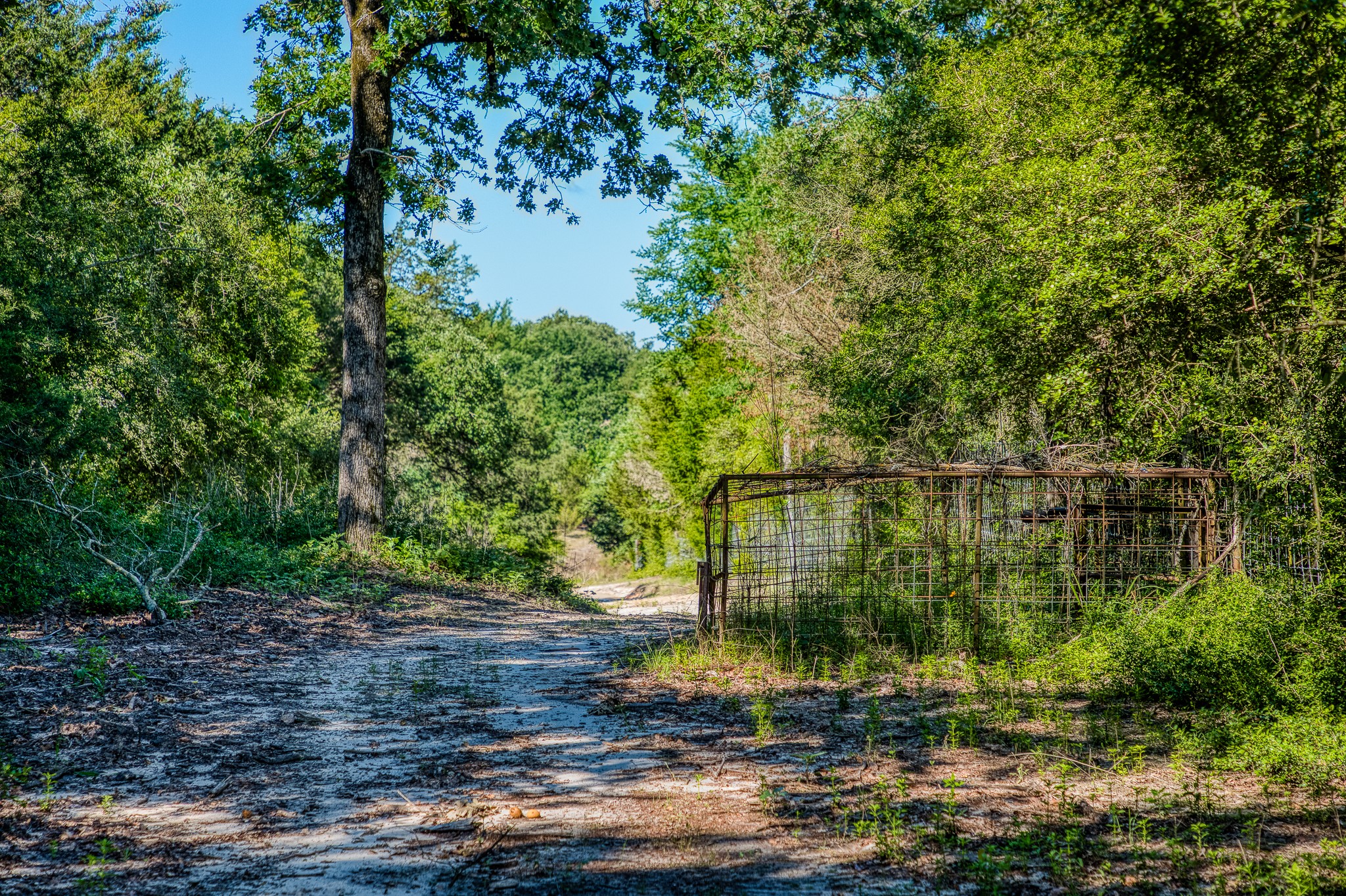 511 (+/-169ac) Lcr 793 Groesbeck TX 76642