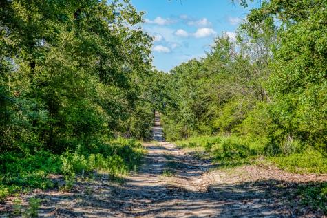 511 (+/-169ac) Lcr 793 Groesbeck TX 76642