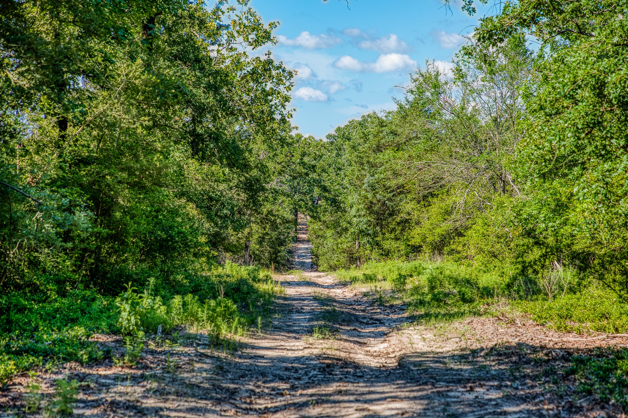 511 (+/-169ac) Lcr 793 Groesbeck TX 76642