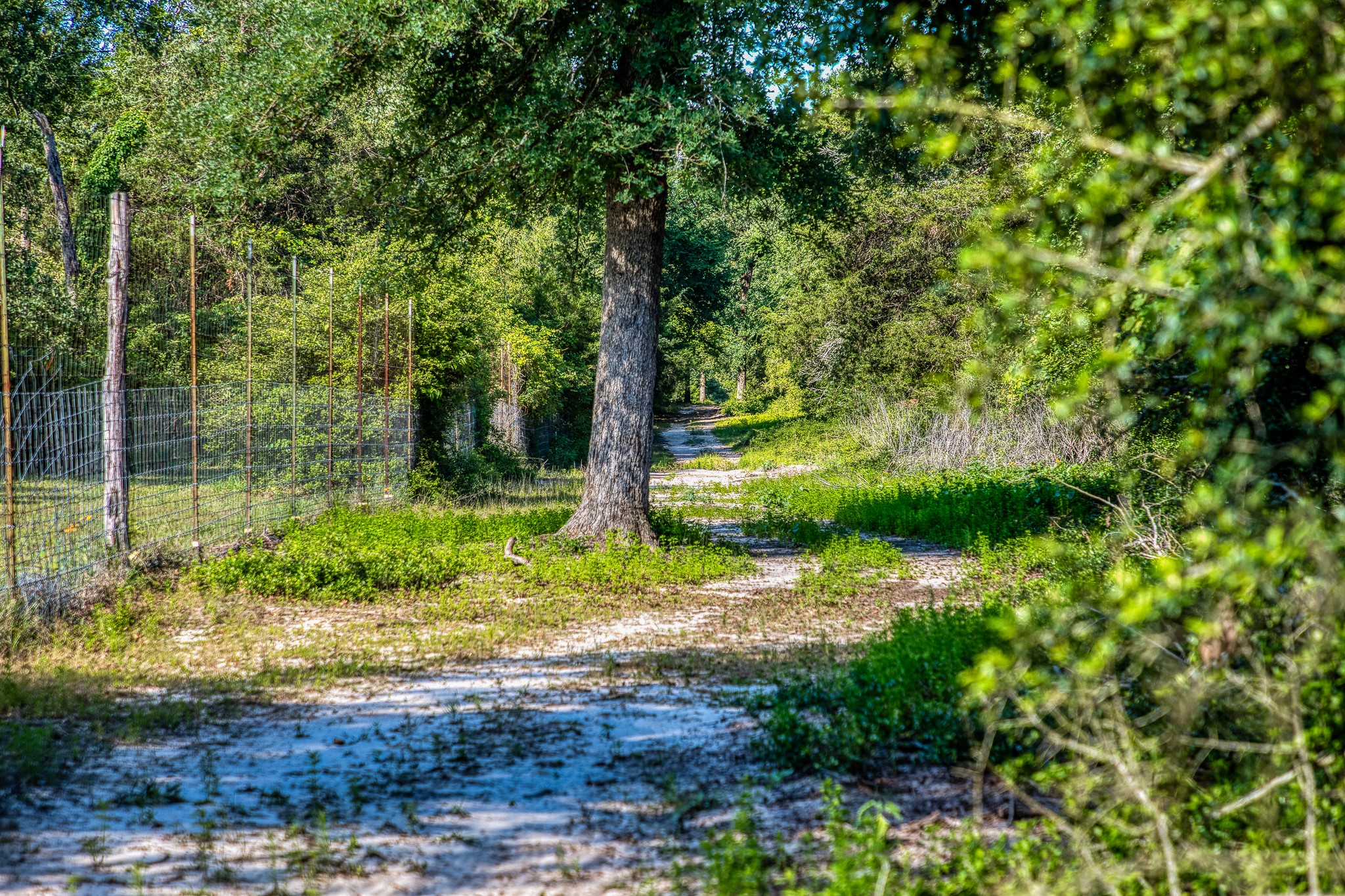 511 (+/-169ac) Lcr 793 Groesbeck TX 76642