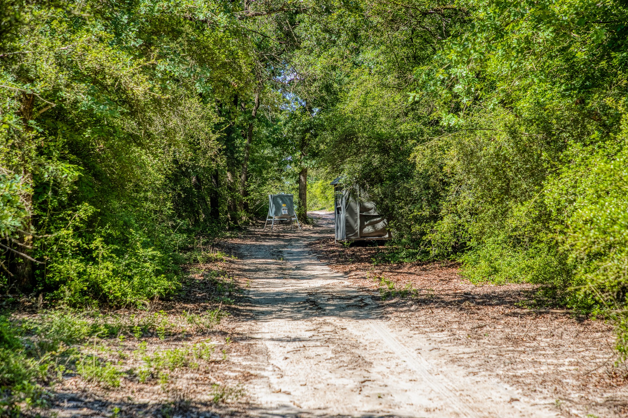 511 (+/-169ac) Lcr 793 Groesbeck TX 76642