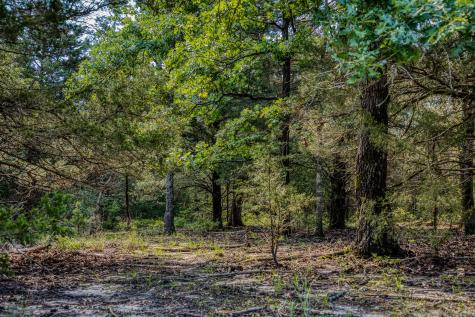 511 (+/-169ac) Lcr 793 Groesbeck TX 76642