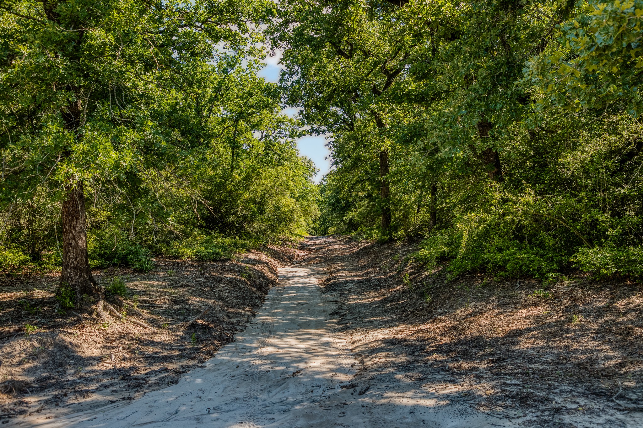511 (+/-169ac) Lcr 793 Groesbeck TX 76642
