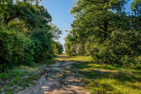511 (+/-169ac) Lcr 793 Groesbeck TX 76642