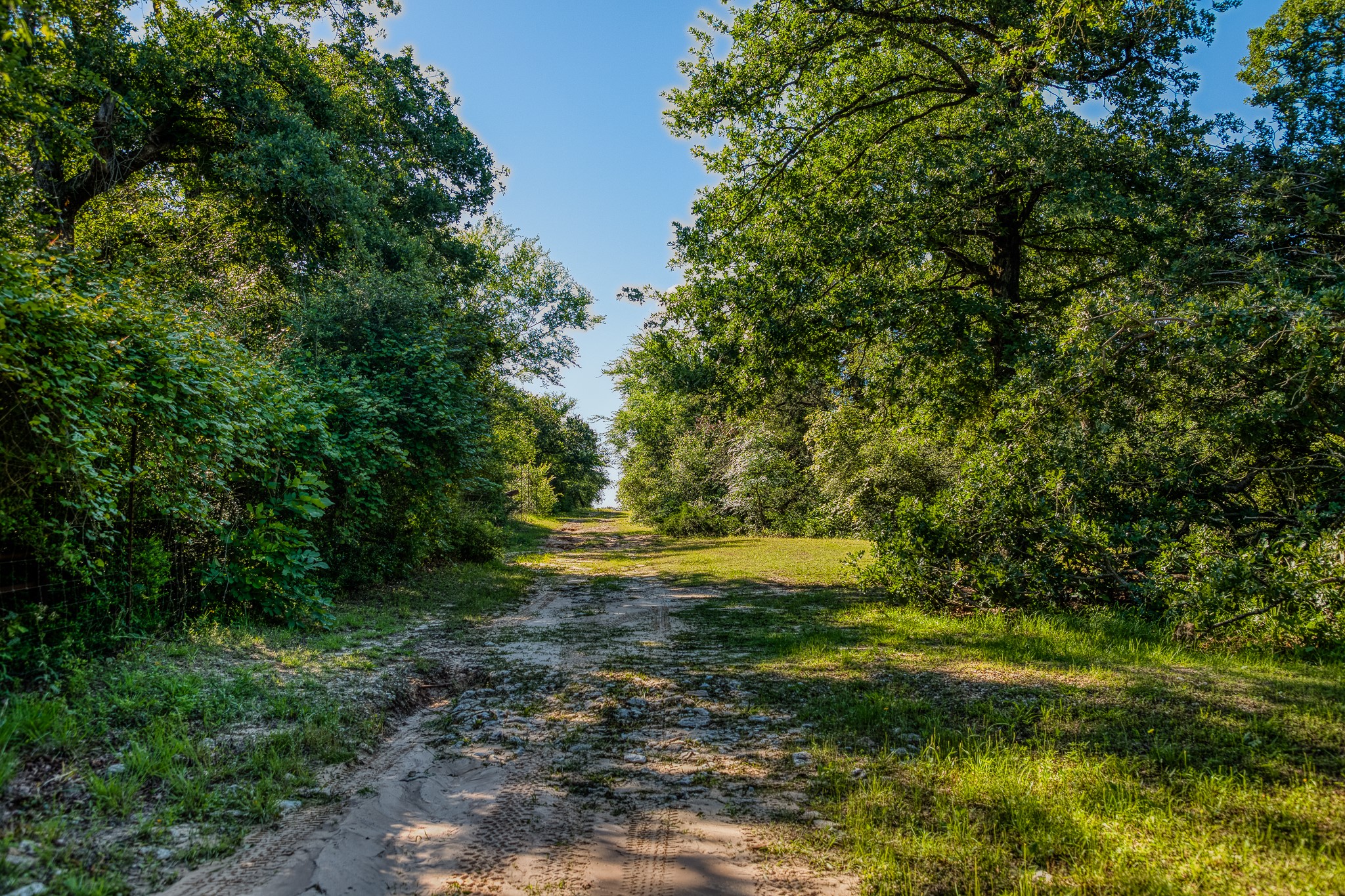 511 (+/-169ac) Lcr 793 Groesbeck TX 76642