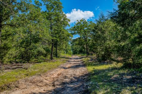 511 (+/-169ac) Lcr 793 Groesbeck TX 76642