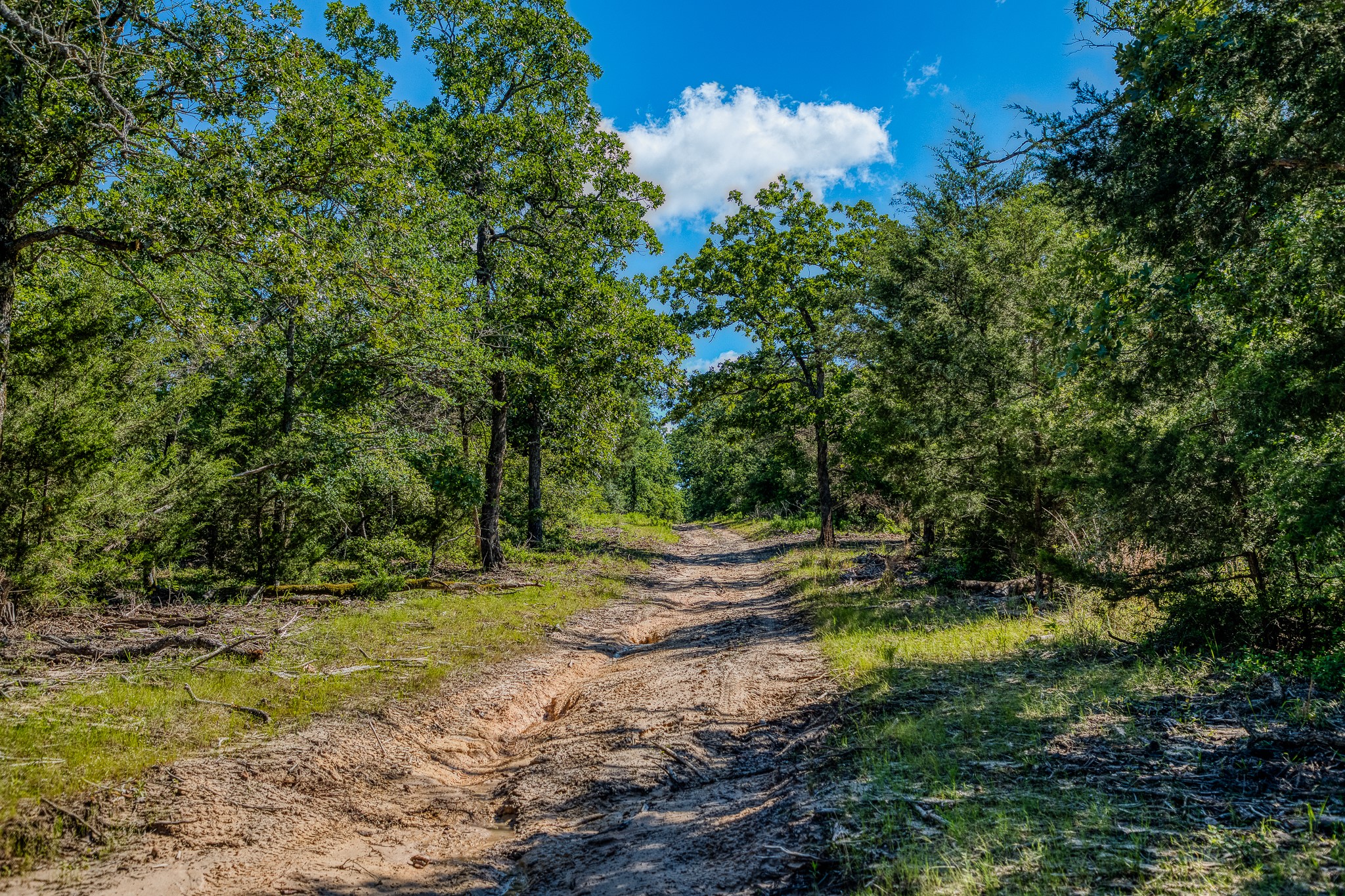 511 (+/-169ac) Lcr 793 Groesbeck TX 76642