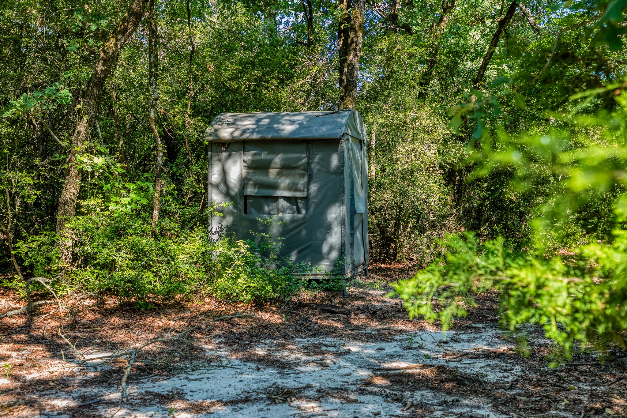 511 (+/-169ac) Lcr 793 Groesbeck TX 76642