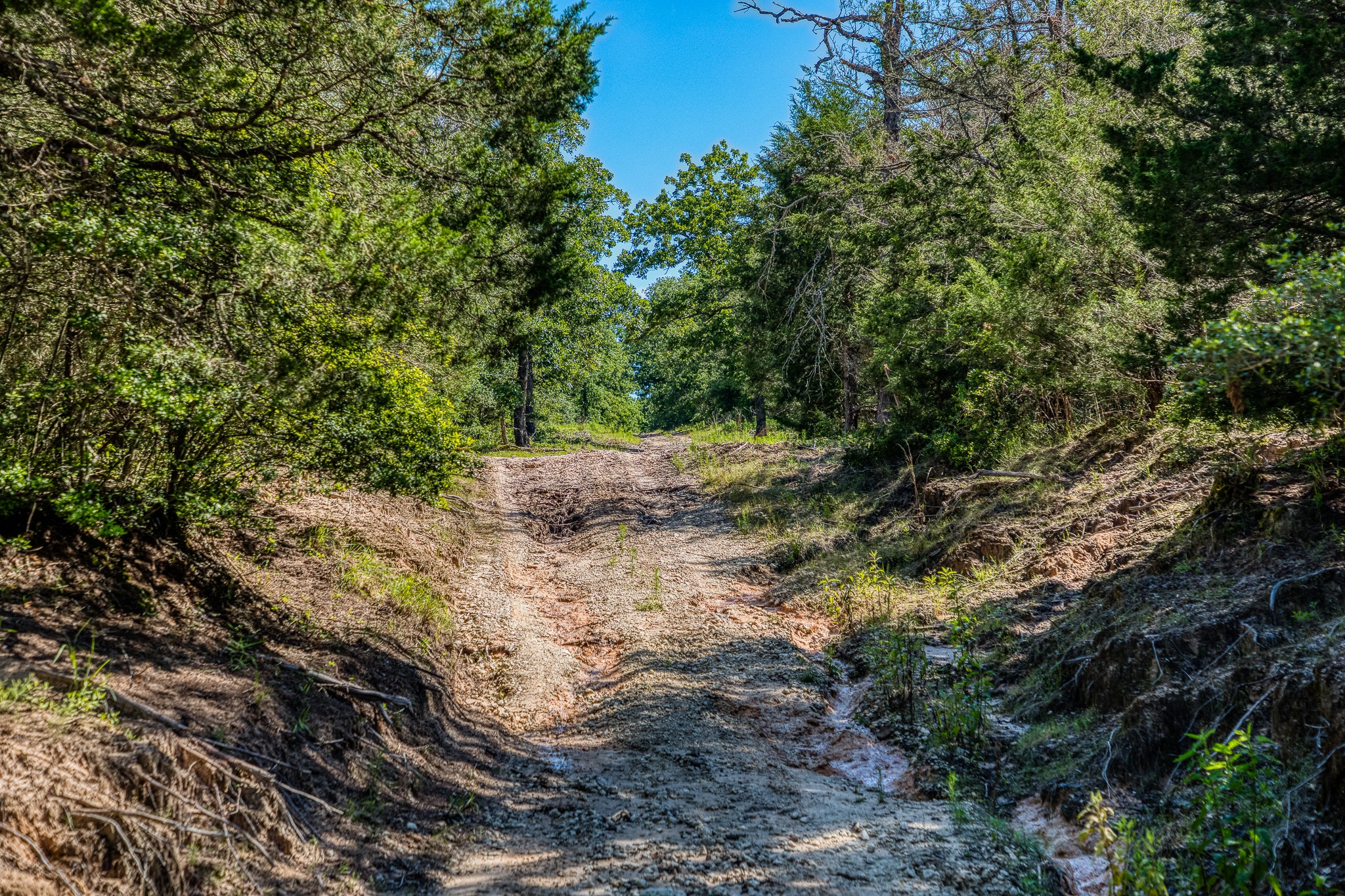 511 (+/-169ac) Lcr 793 Groesbeck TX 76642