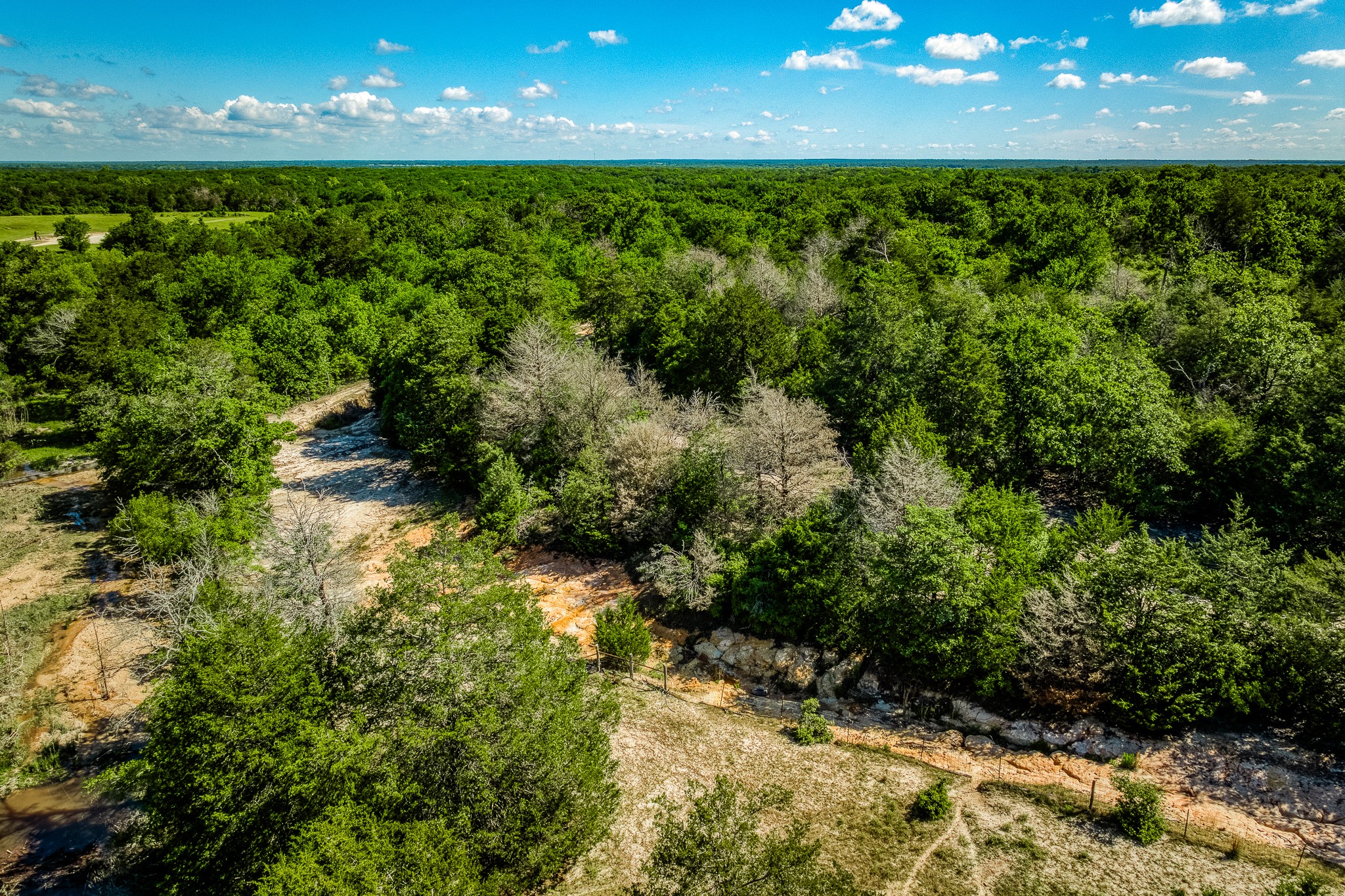 511 (+/-169ac) Lcr 793 Groesbeck TX 76642