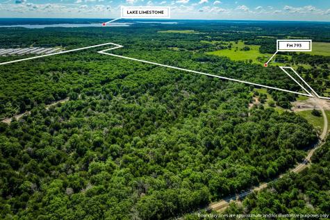 511 (+/-169ac) Lcr 793 Groesbeck TX 76642