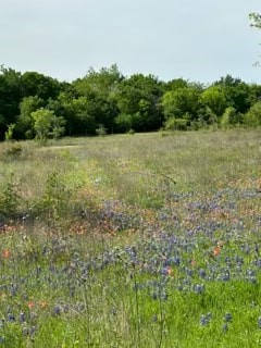 35 Longview Creek Trail Itasca TX 76055
