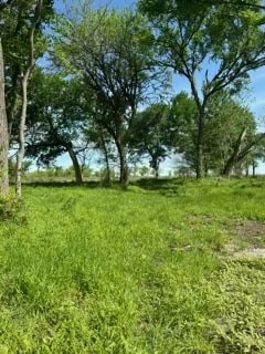 35 Longview Creek Trail Itasca TX 76055
