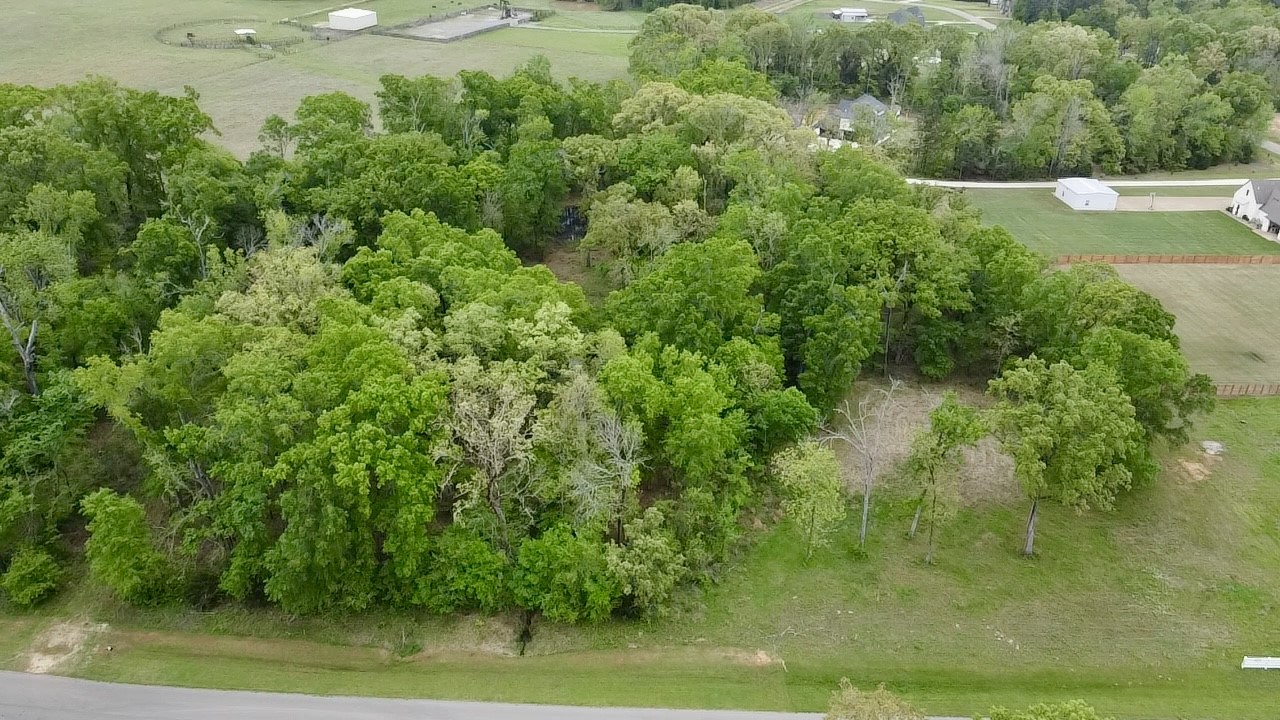 21079 Gatlinburg Road Bullard TX 75757