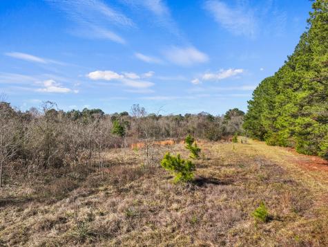 Tbd County Road 2865 Hughes Springs TX 75656