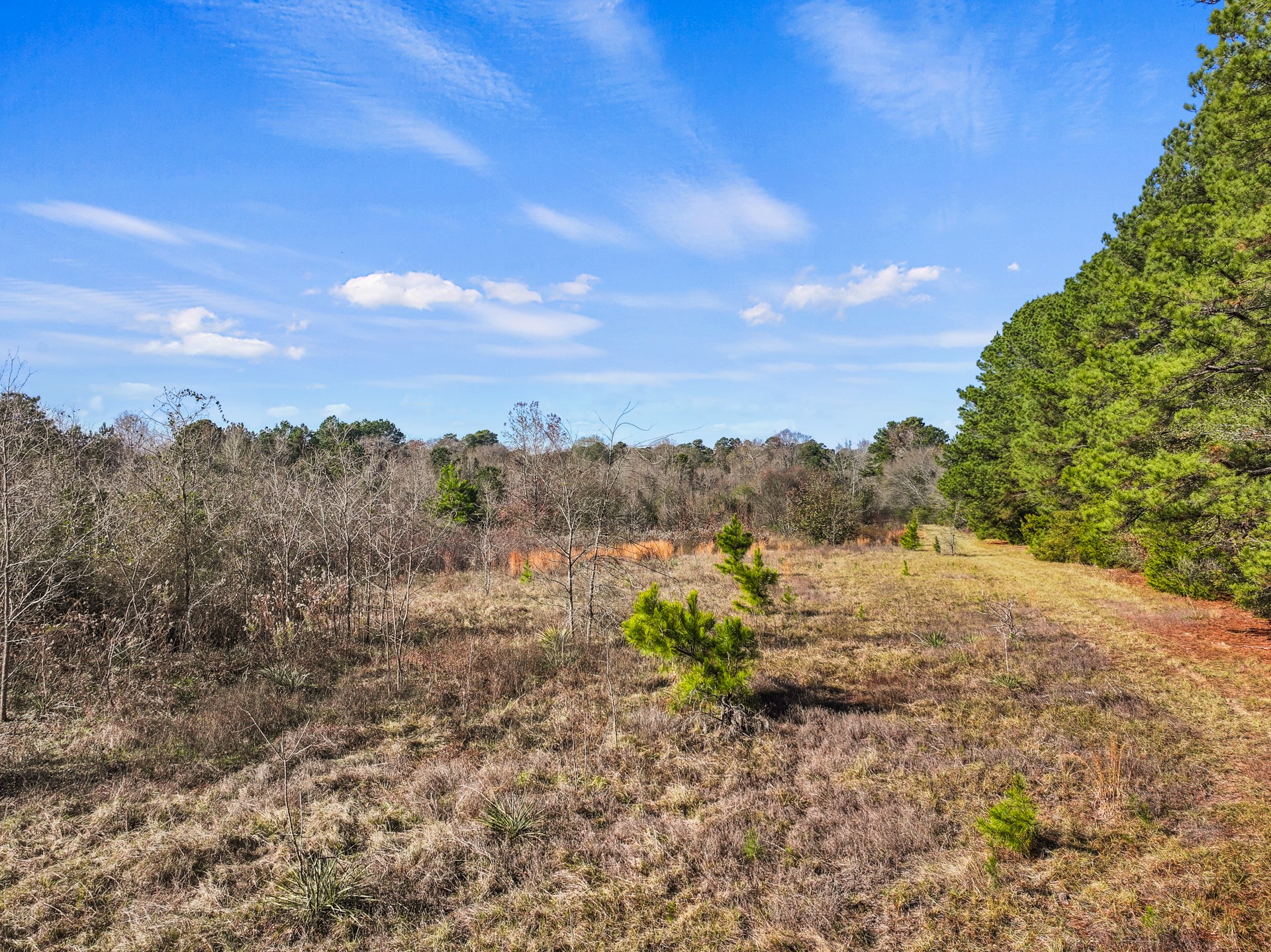Tbd County Road 2865 Hughes Springs TX 75656