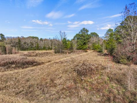 TBD County Road 2865 Hughes Springs TX 75656