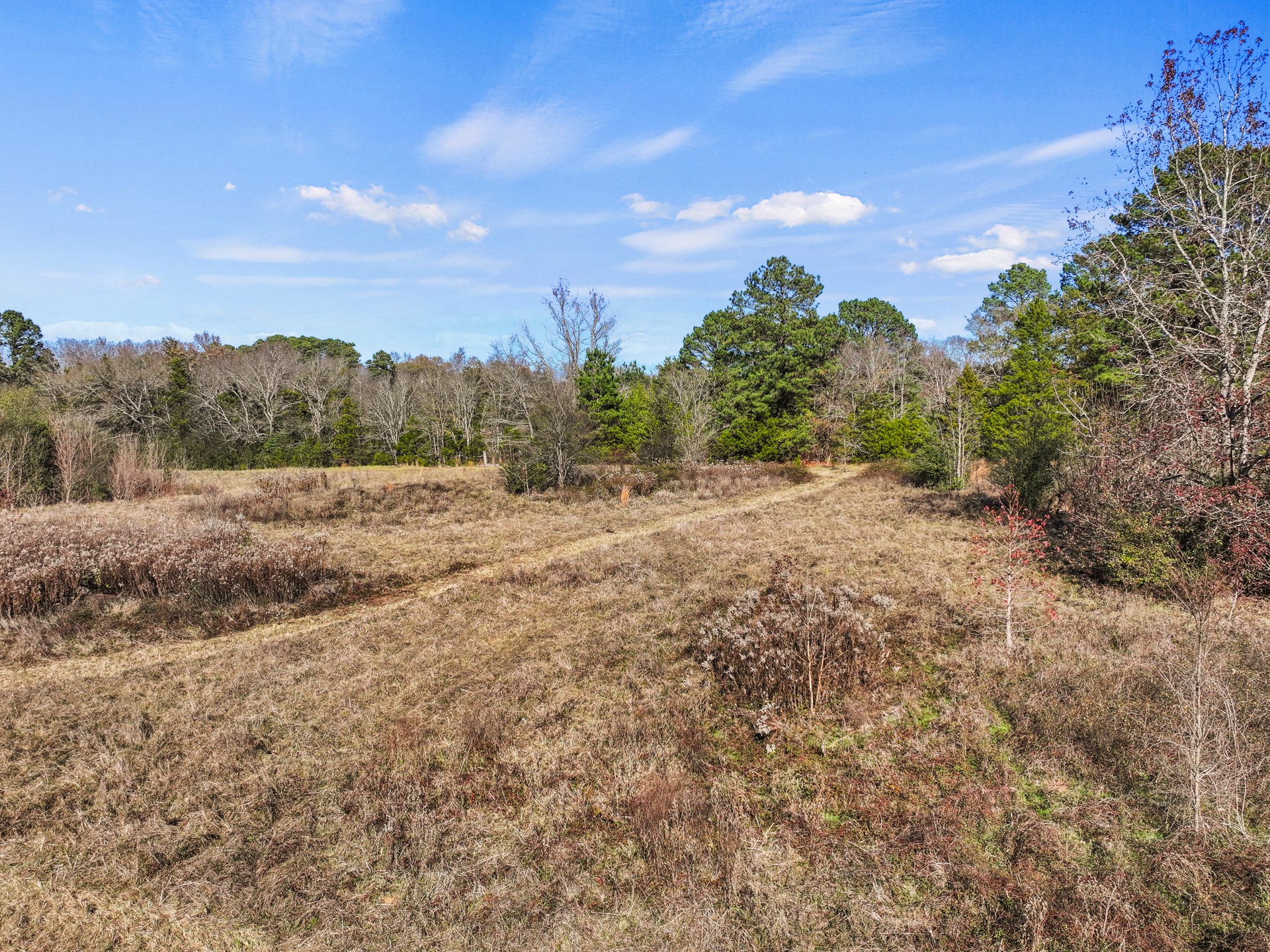 Tbd County Road 2865 Hughes Springs TX 75656
