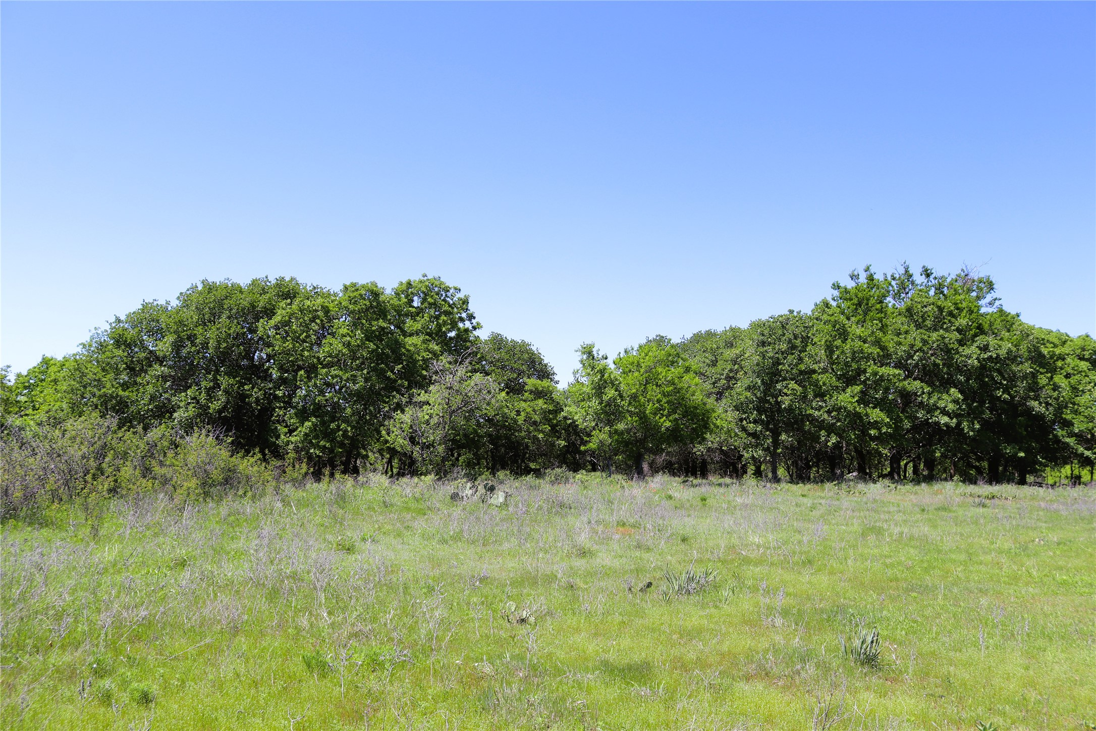 40 Acres Sears Mayfield Road Henrietta TX 76365