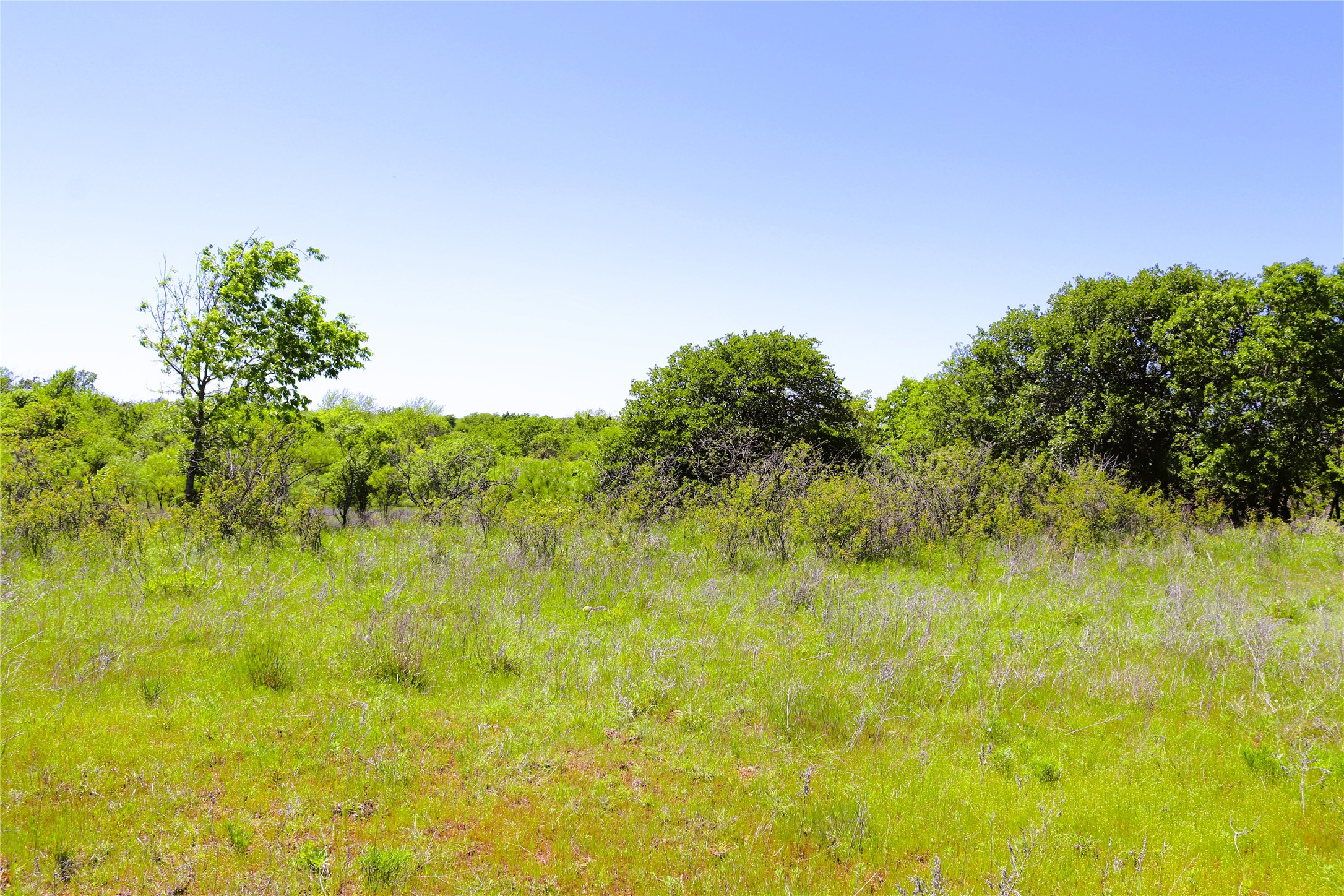 40 Acres Sears Mayfield Road Henrietta TX 76365