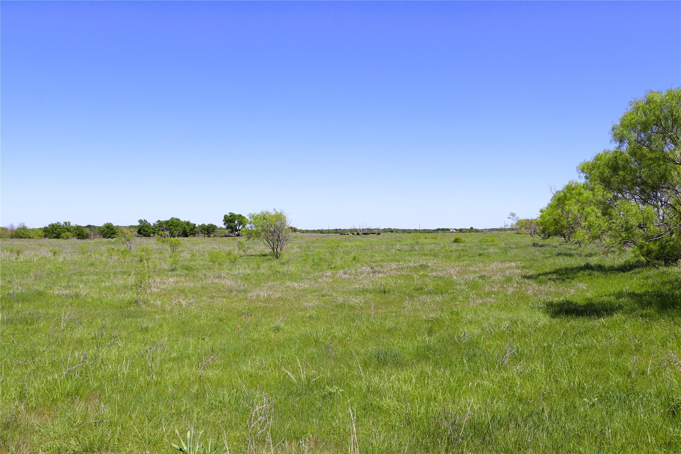 40 Acres Sears Mayfield Road Henrietta TX 76365