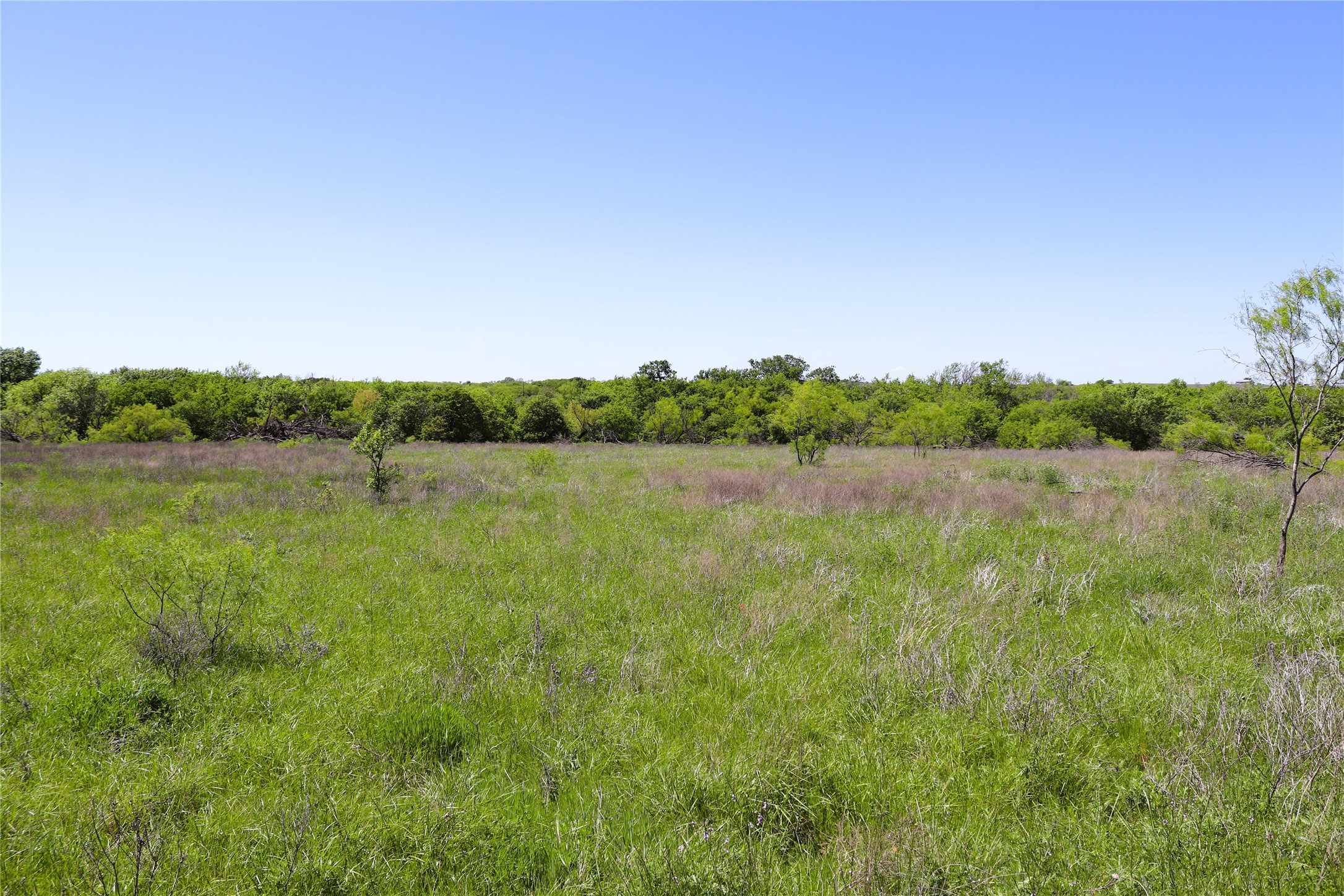 40 Acres Sears Mayfield Road Henrietta TX 76365