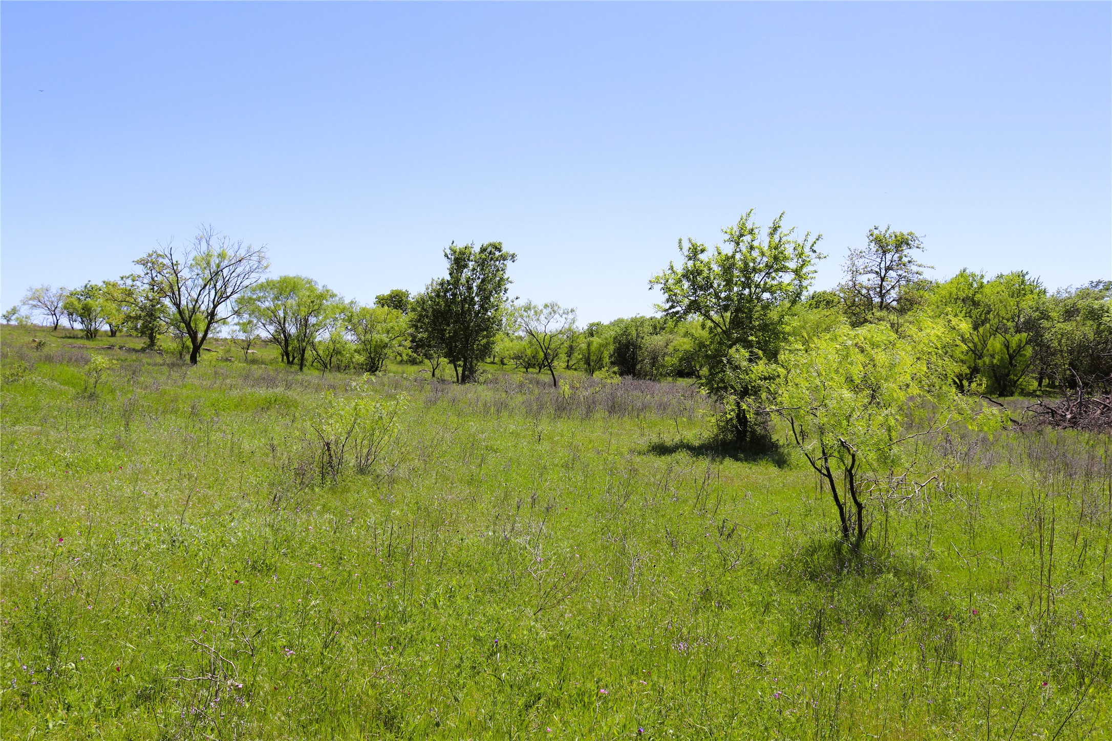 40 Acres Sears Mayfield Road Henrietta TX 76365