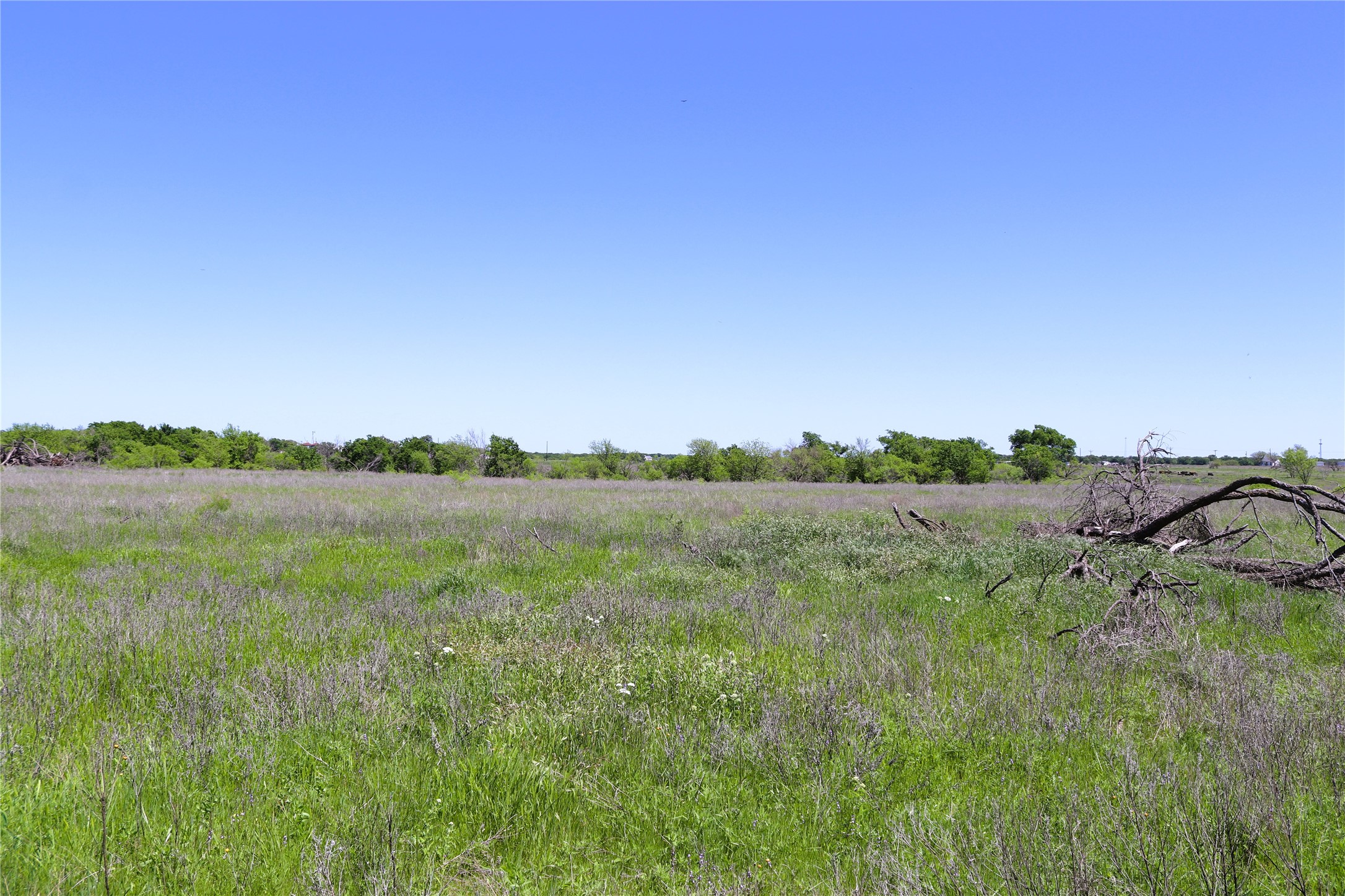 40 Acres Sears Mayfield Road Henrietta TX 76365