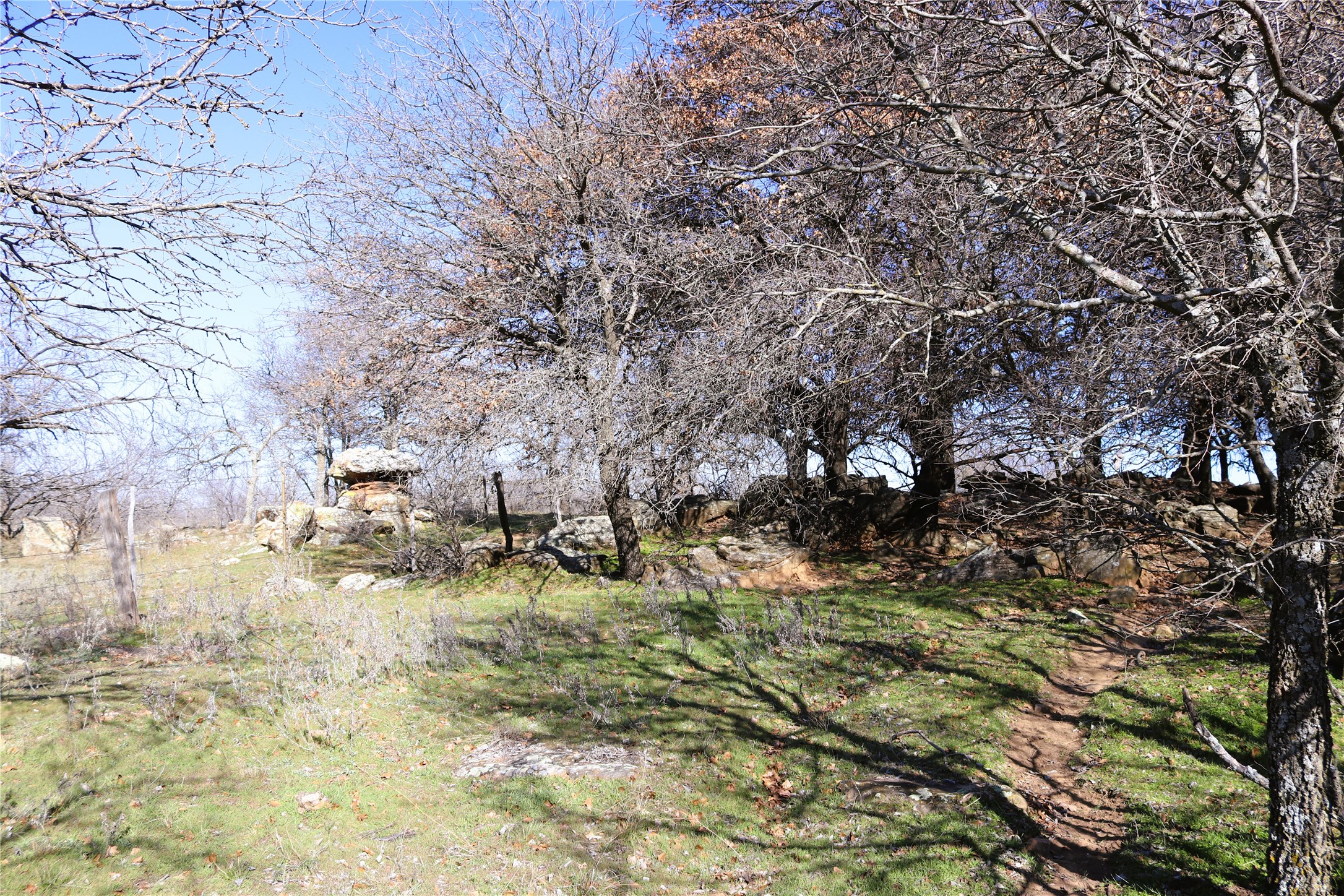 40 Acres Sears Mayfield Road Henrietta TX 76365
