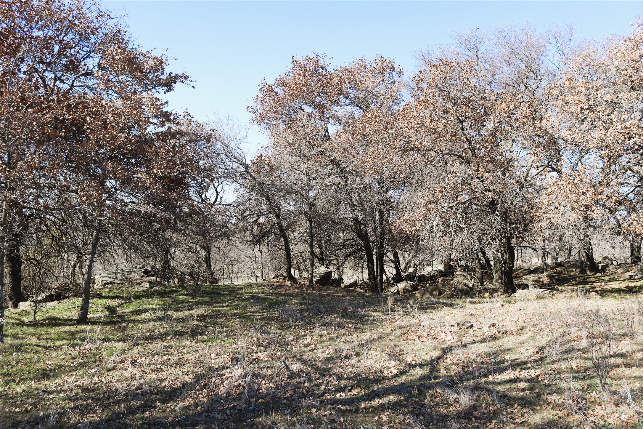 40 Acres Sears Mayfield Road Henrietta TX 76365