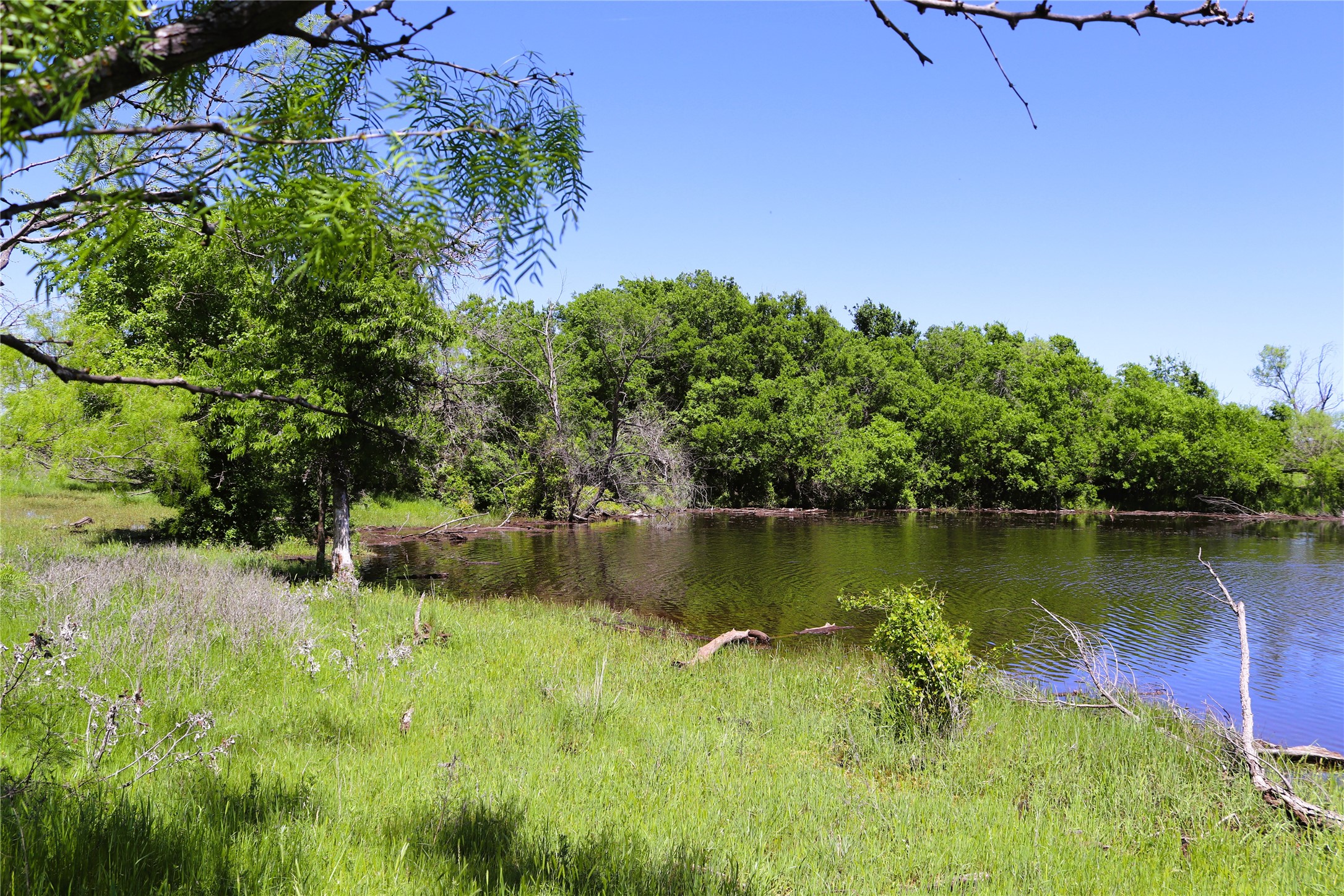 40 Acres Sears Mayfield Road Henrietta TX 76365